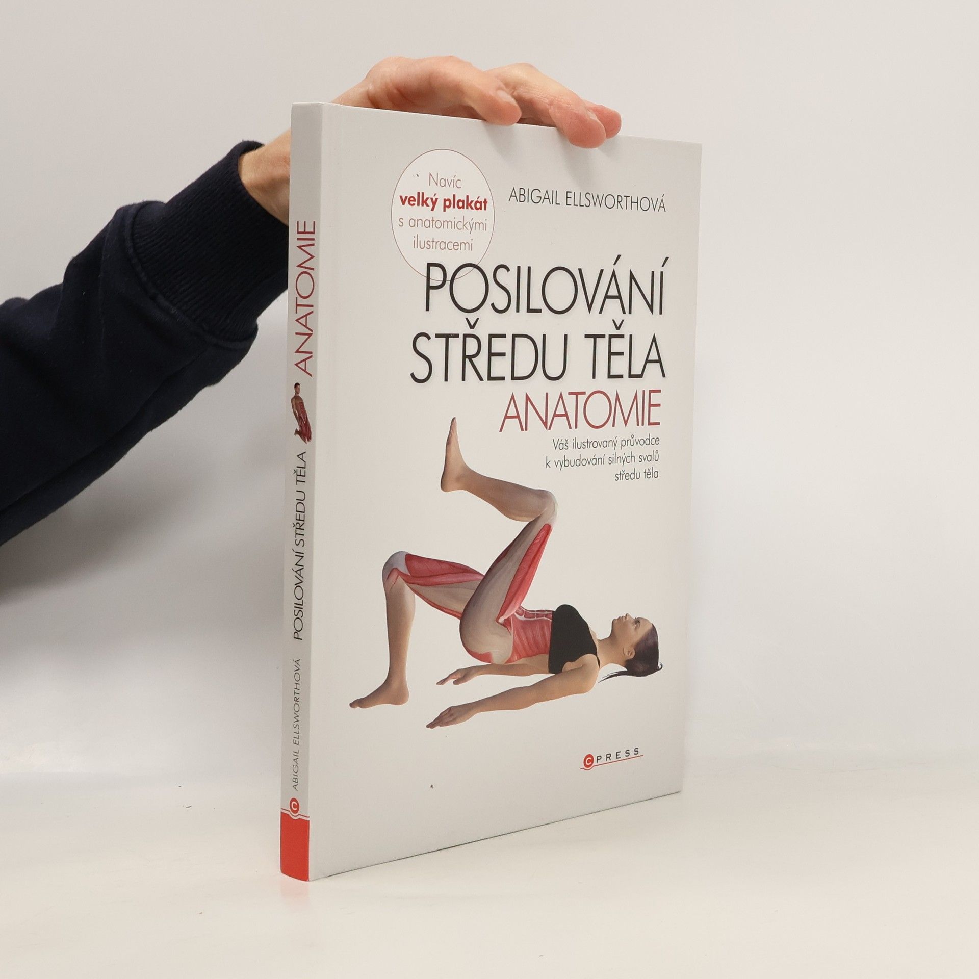 Posilování středu těla - anatomie