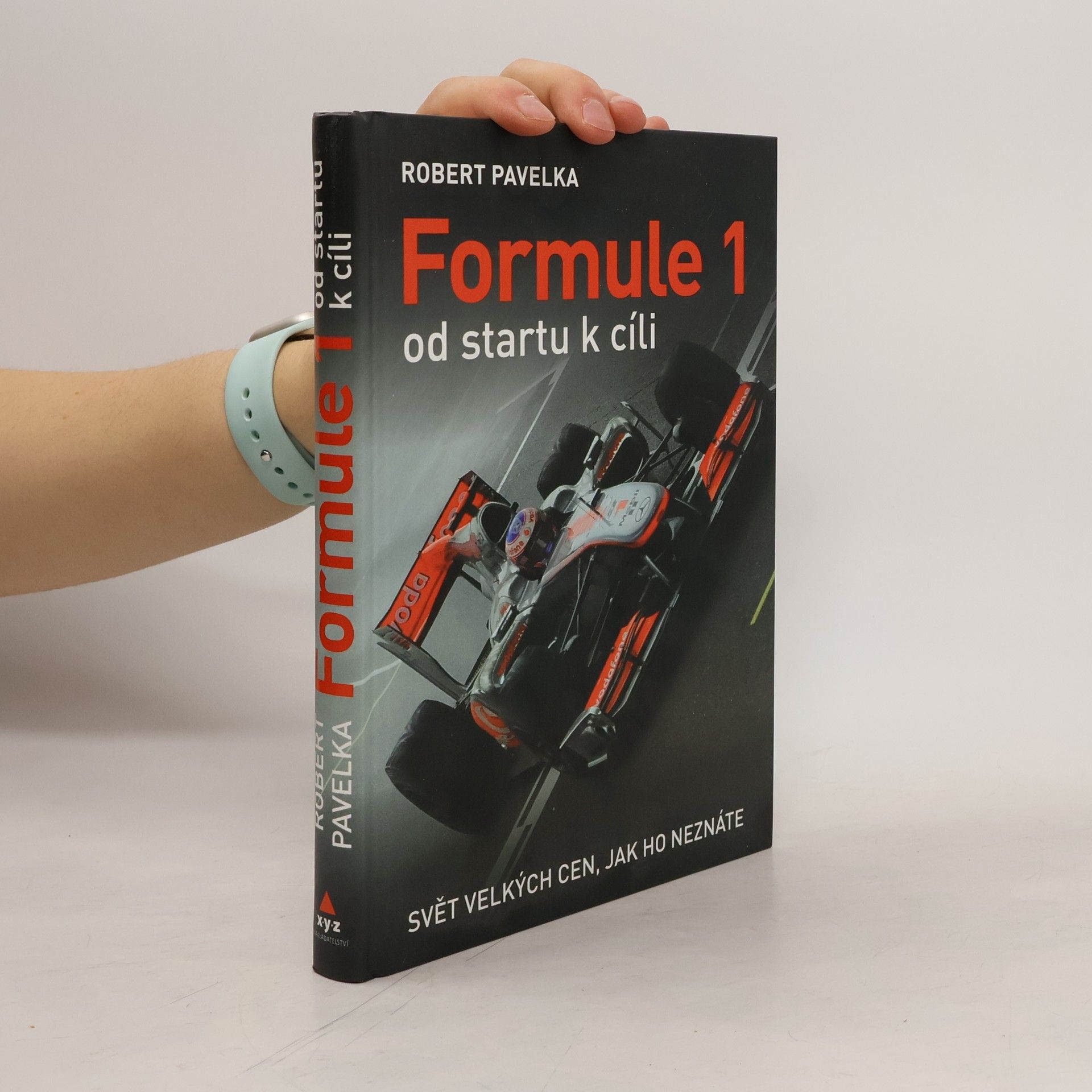 Formule 1 : od startu k cíli