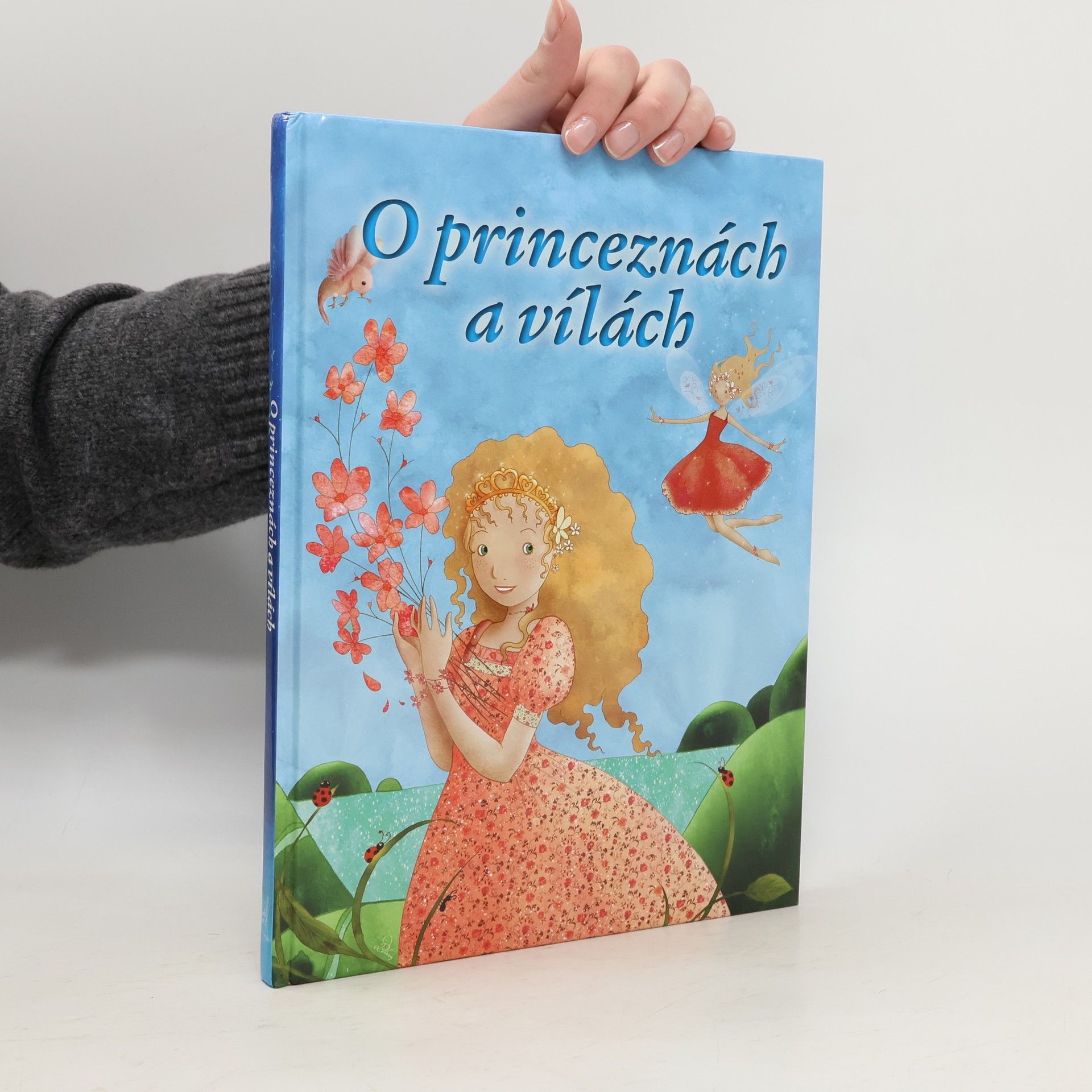 Autorenkollektiv O princeznách a vílách