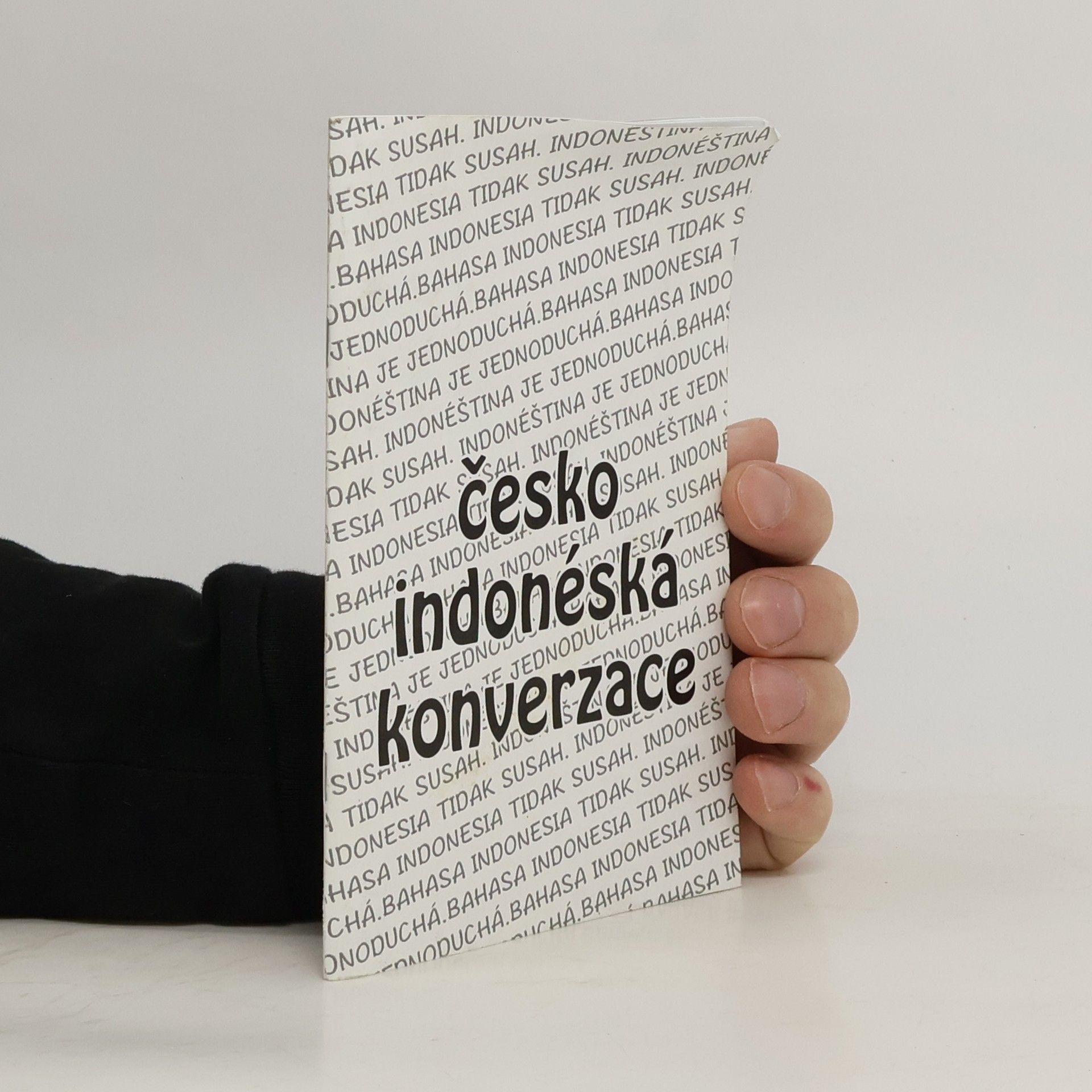 Kolektiv autorů Česko indonéská konverzace
