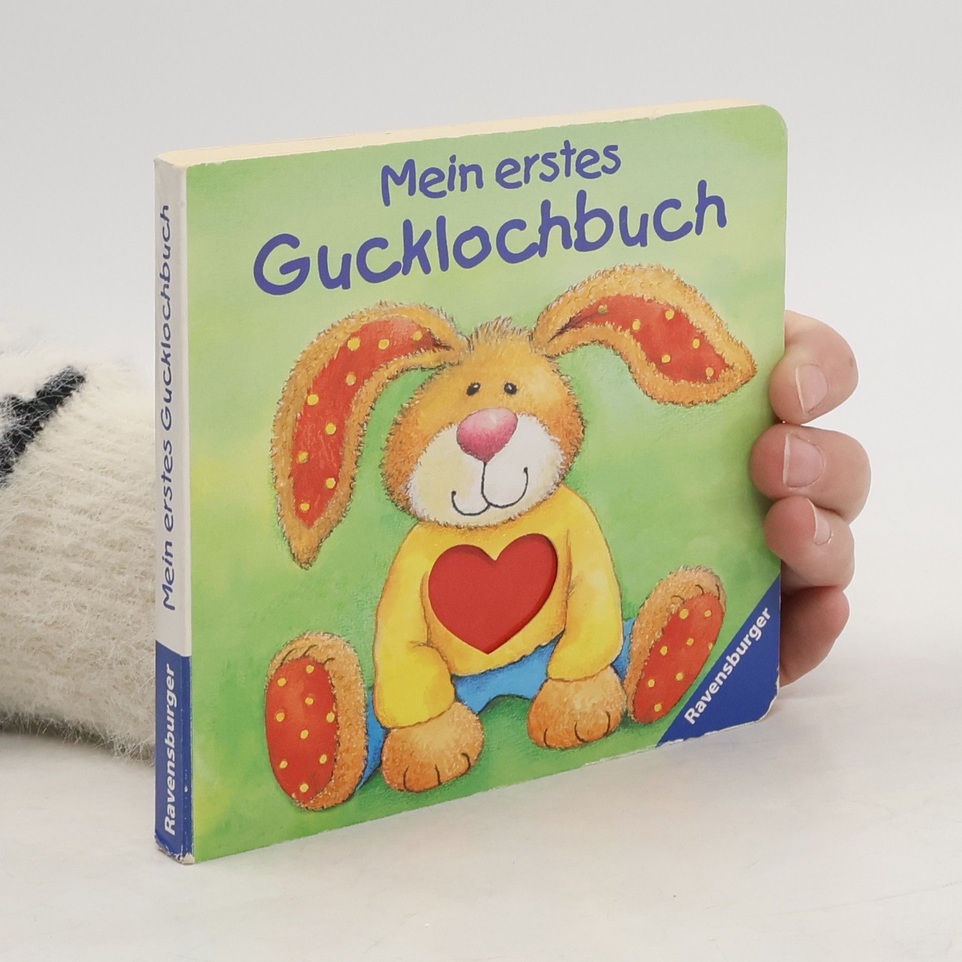 Ruth Scholte van Mast Mein erstes Gucklochbuch