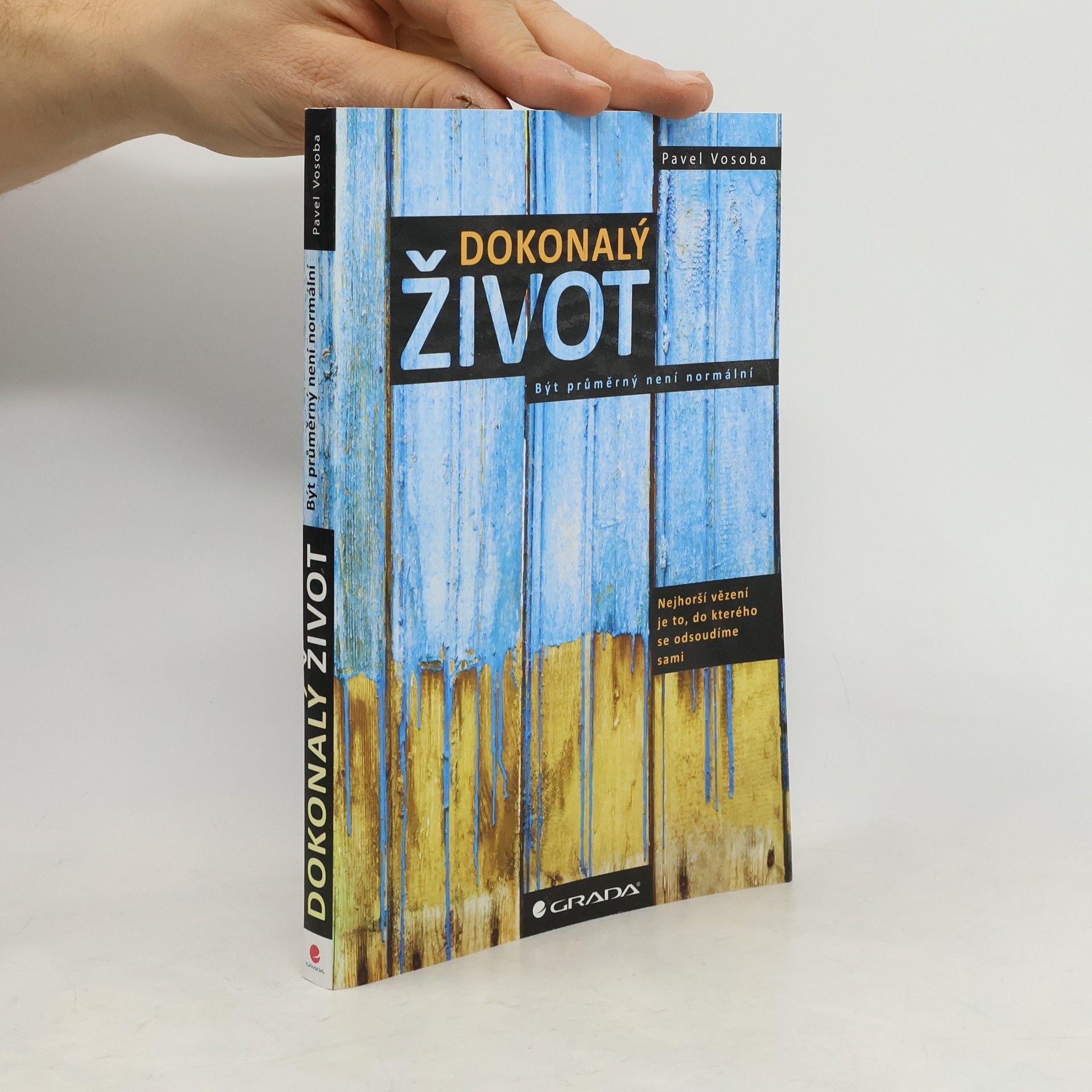 Dokonalý život : být průměrný není normální