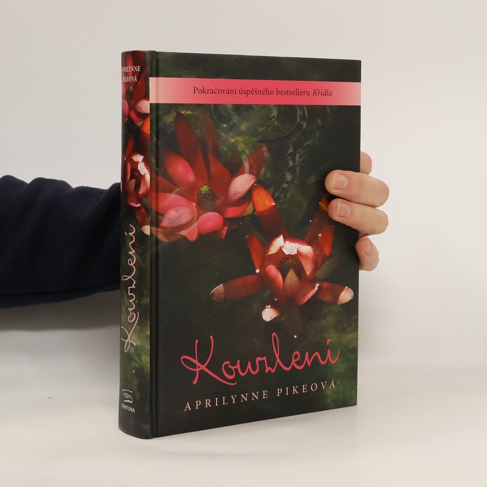 Kouzlení. Křídla 2