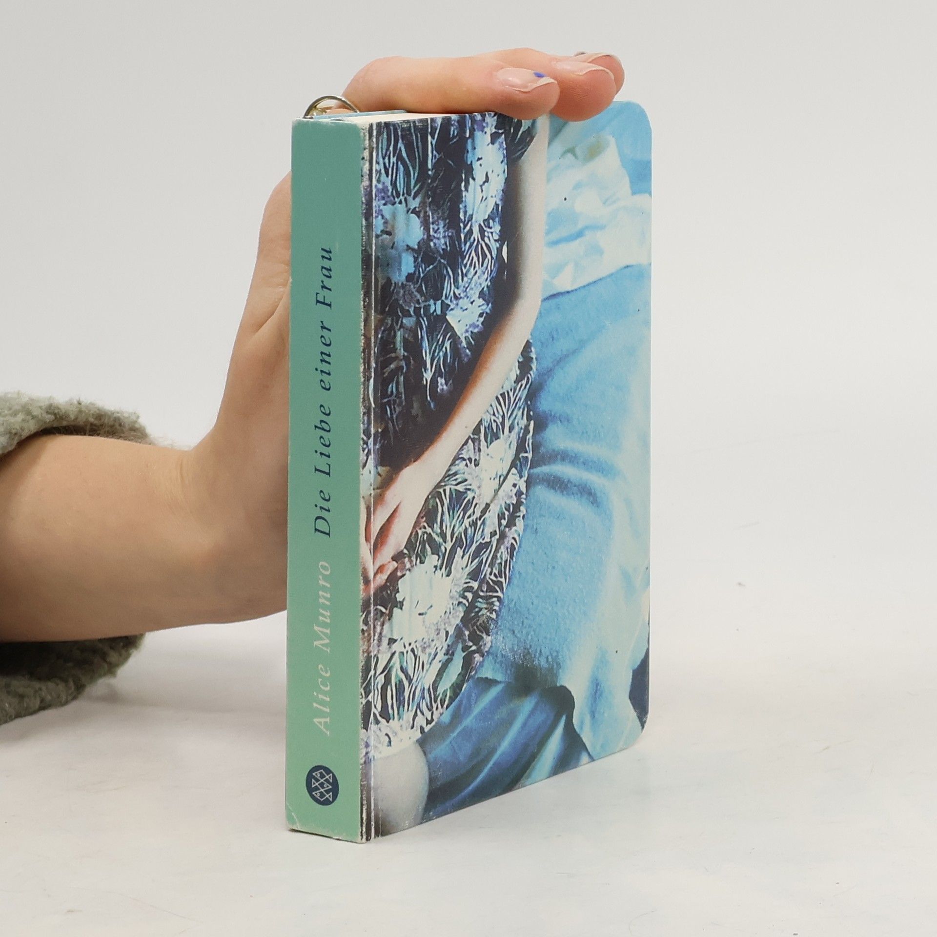 Alice Munro Die Liebe einer Frau