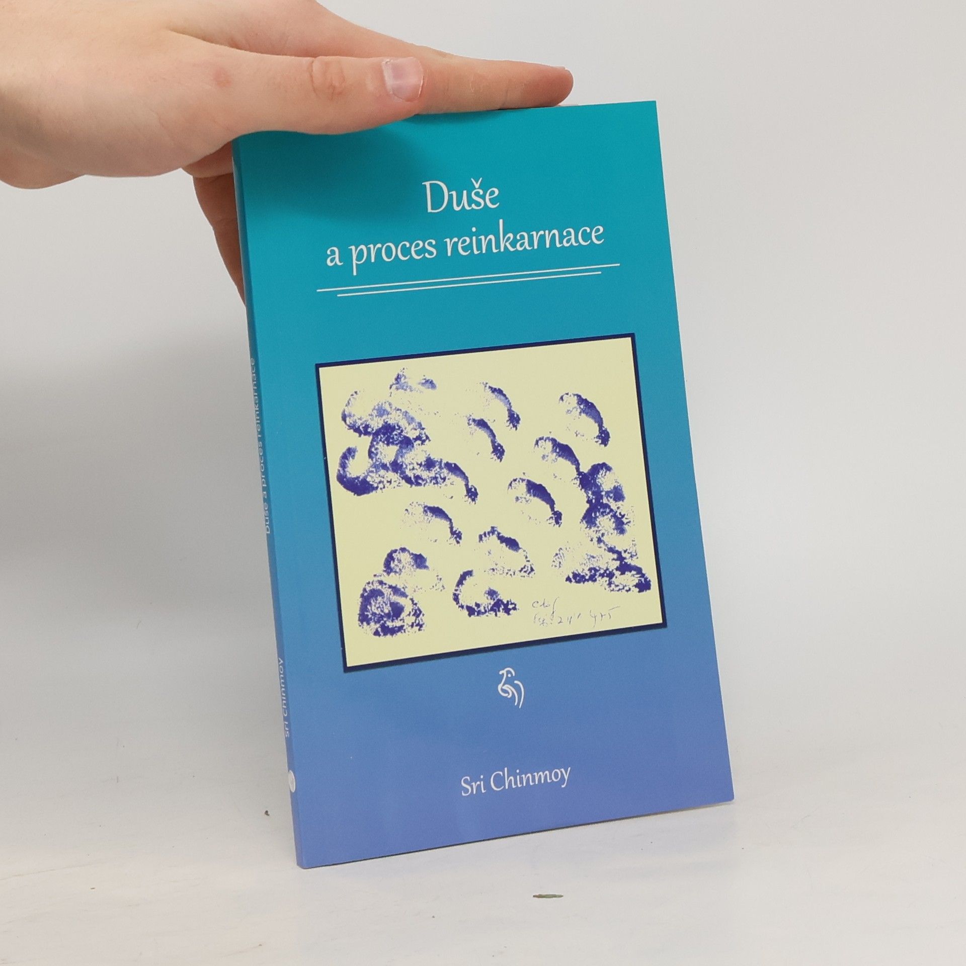 Duše a proces reinkarnace