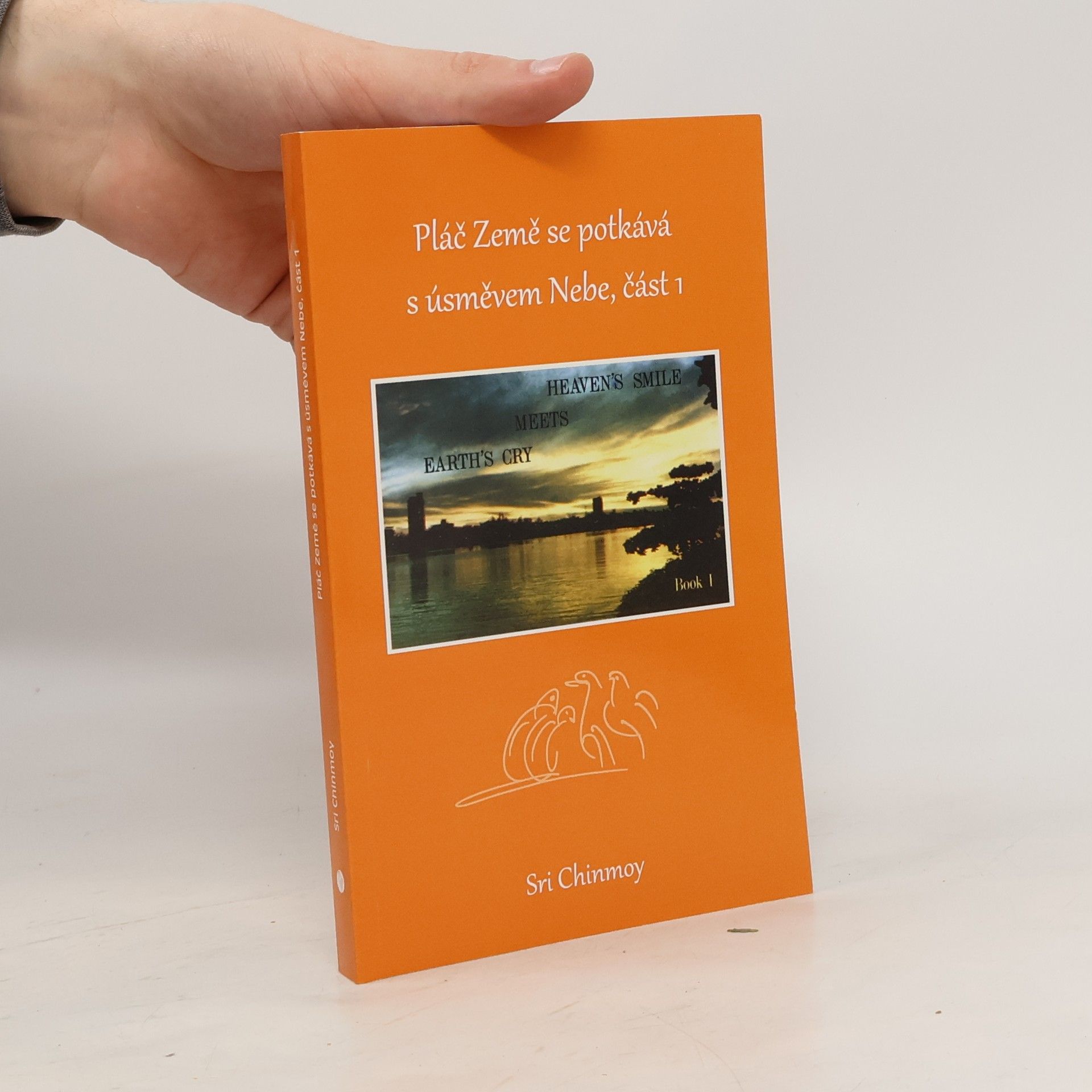 Sri Chinmoy Pláč Země se potkává s úsměvem Nebe, část 1