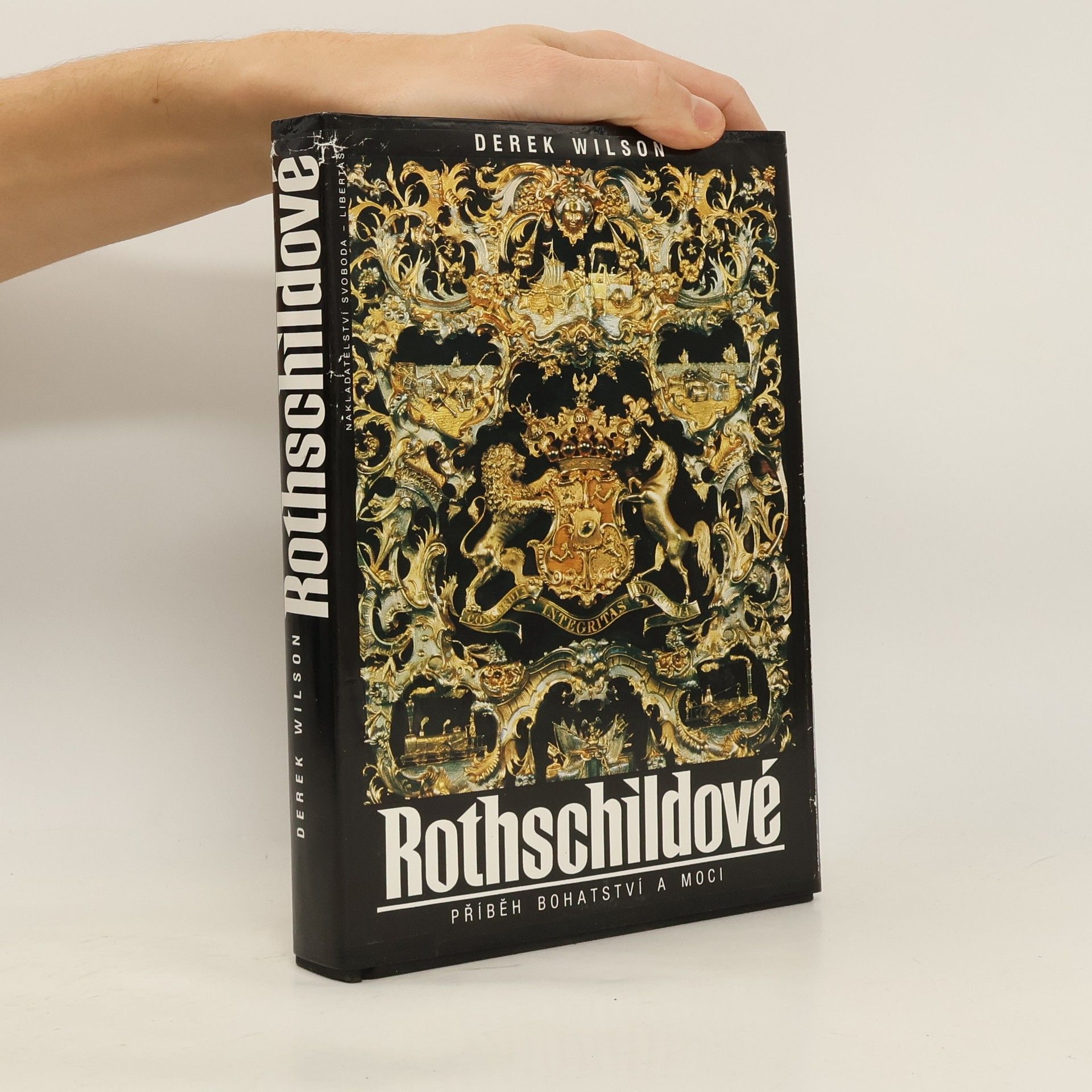 Derek A. Wilson Rothschildové. Příběh bohatství a moci