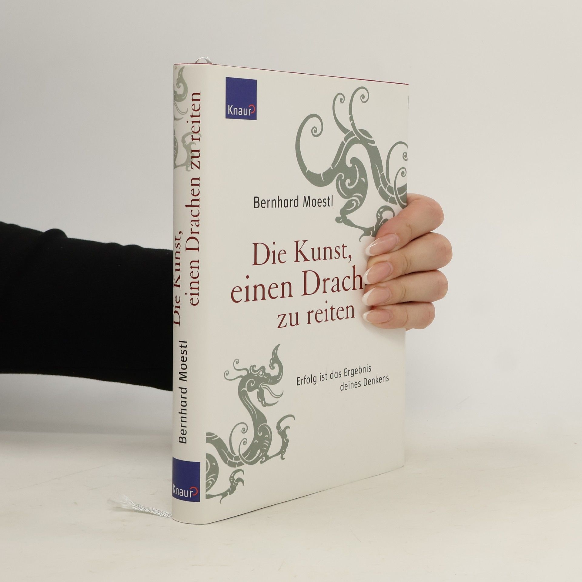 Bernhard Moestl Die Kunst, einen Drachen zu reiten