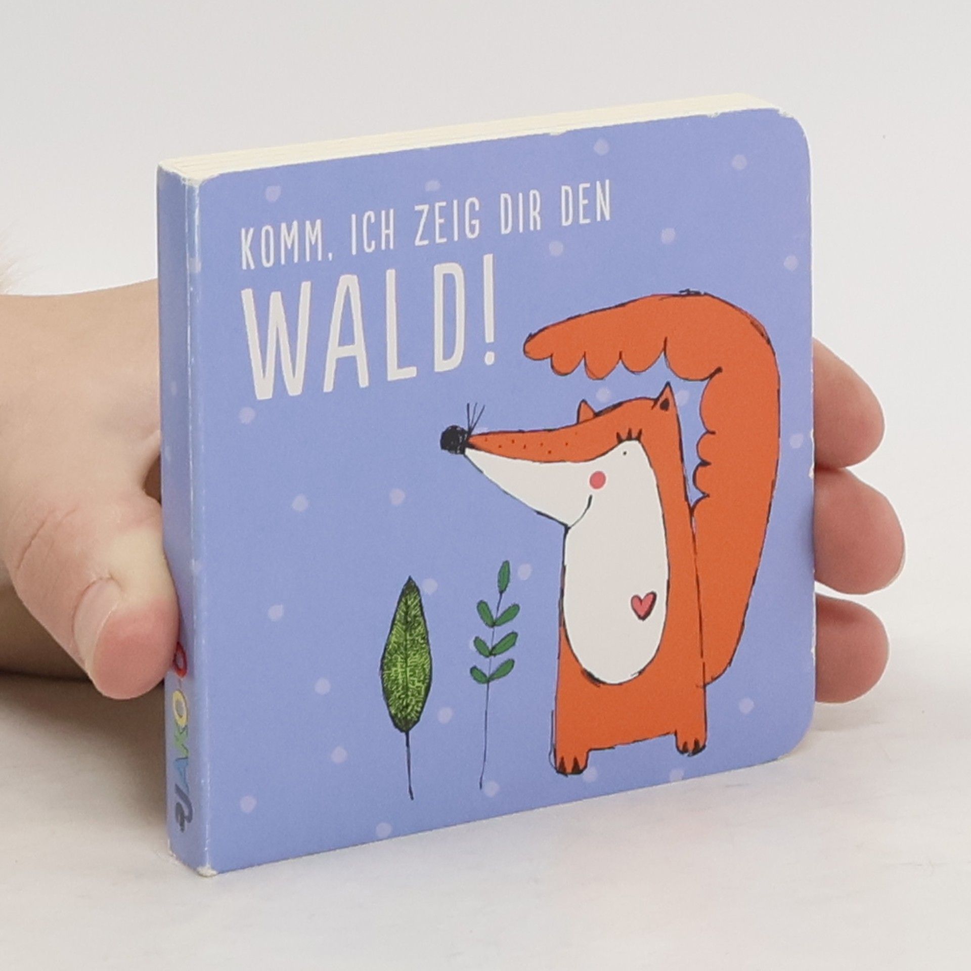 Autorenkollektiv Komm, ich zeig dir den Wald!