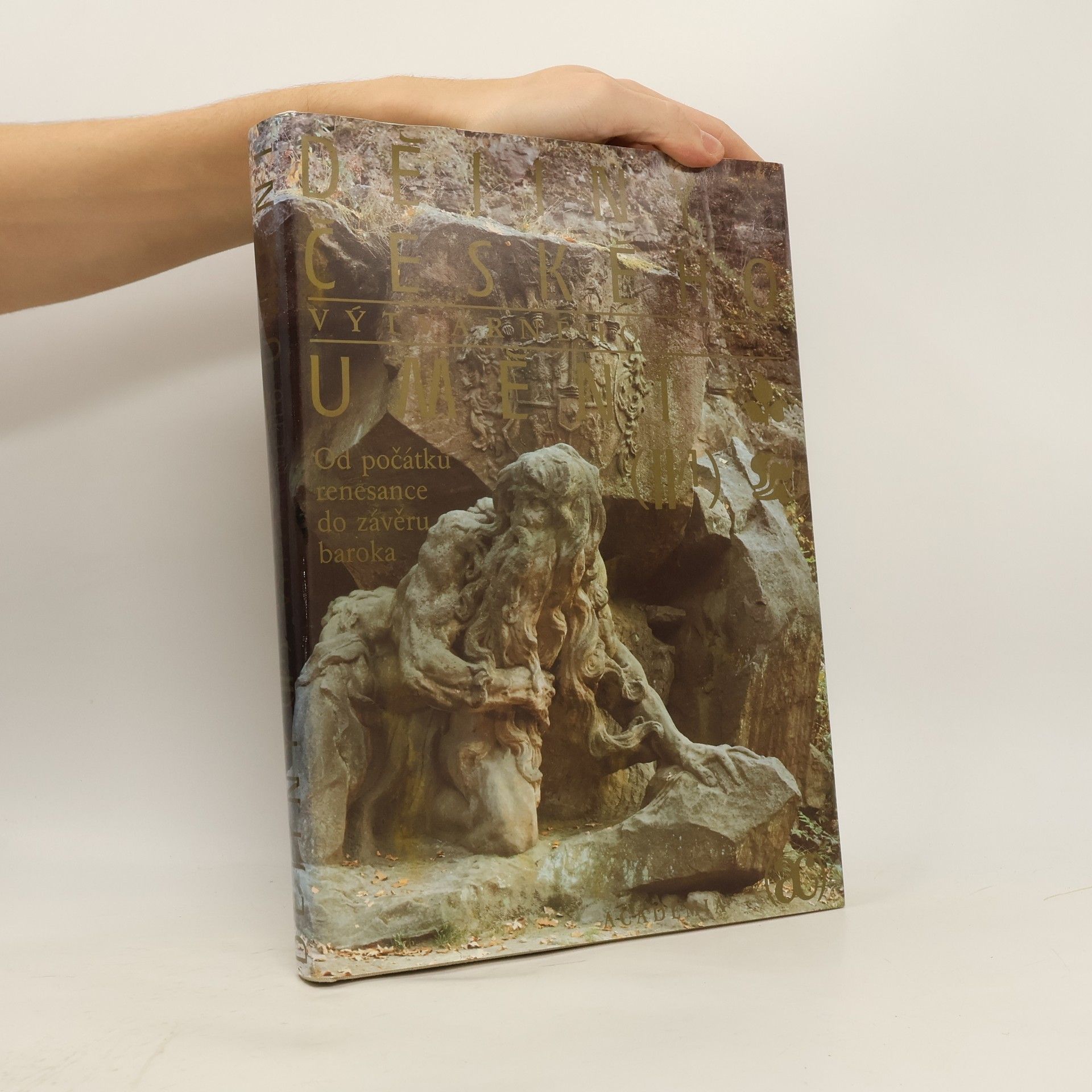 Kolektiv autorů Dějiny českého výtvarného umění II/1