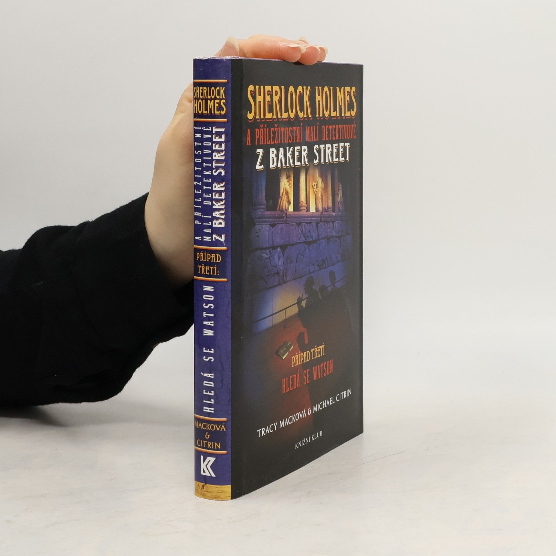 Sherlock Holmes a příležitostní malí detektivové z Baker Street. Případ třetí. Hledá se Watson