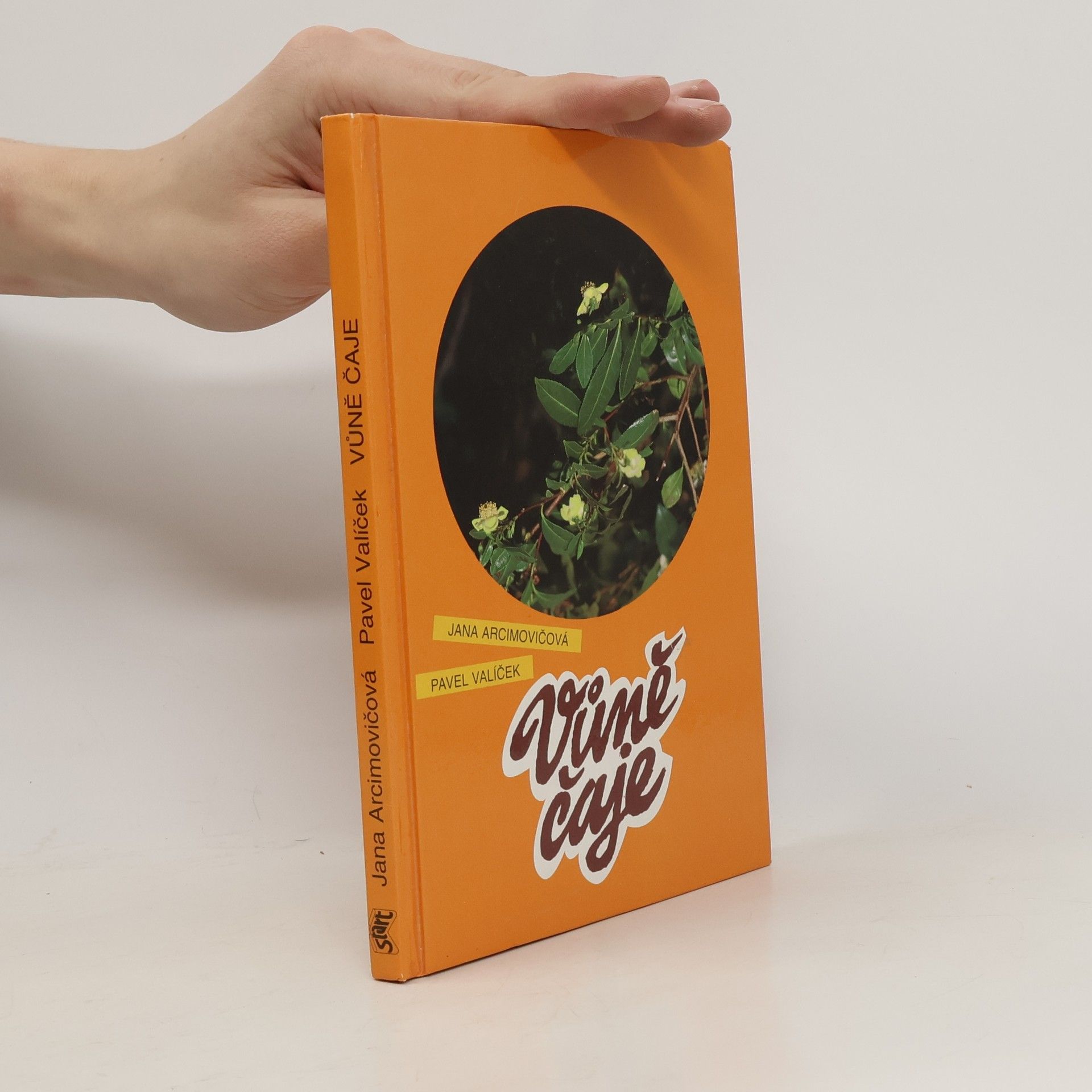 Pavel Valíček Vůně čaje