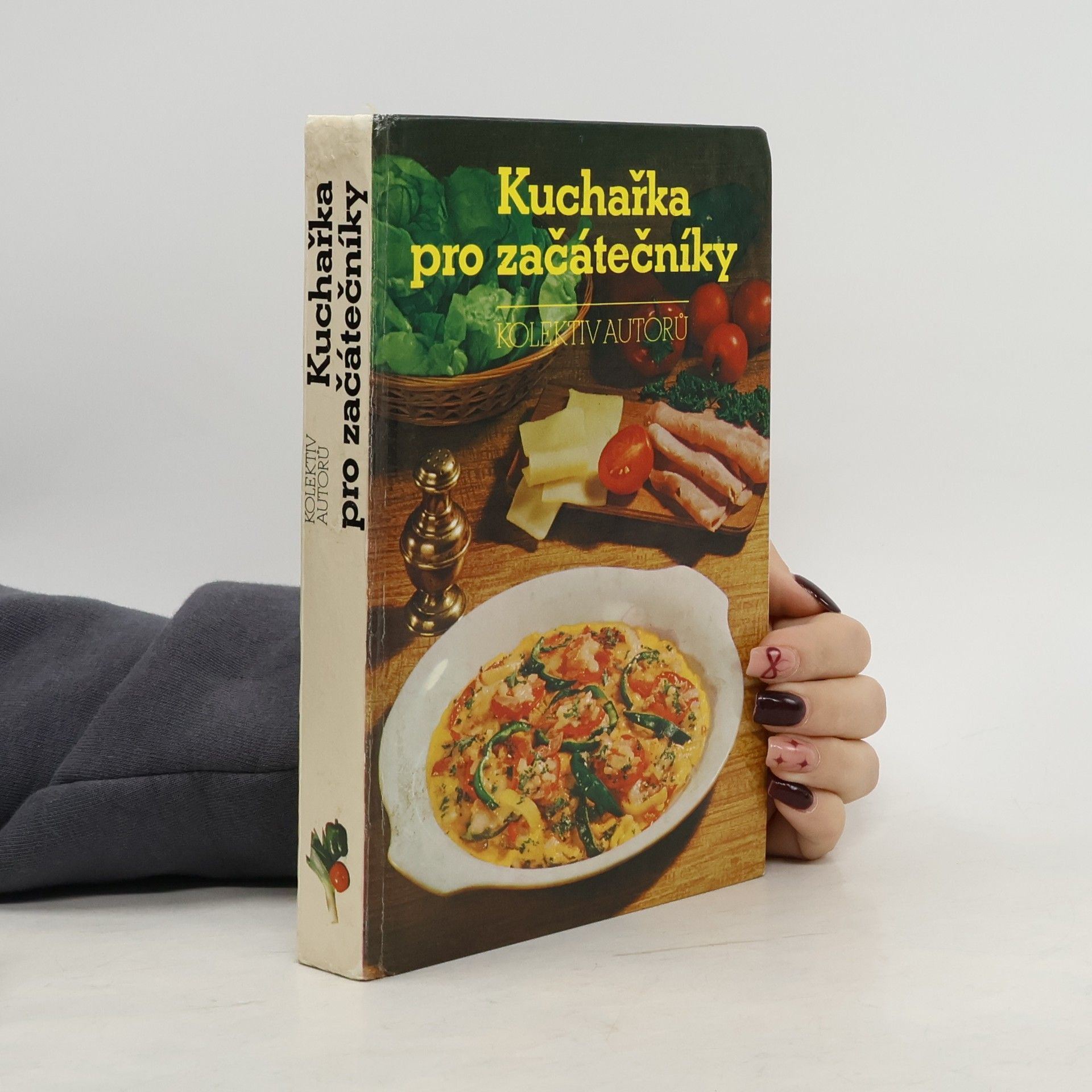 Kolektiv autorů Kuchařka pro začátečníky
