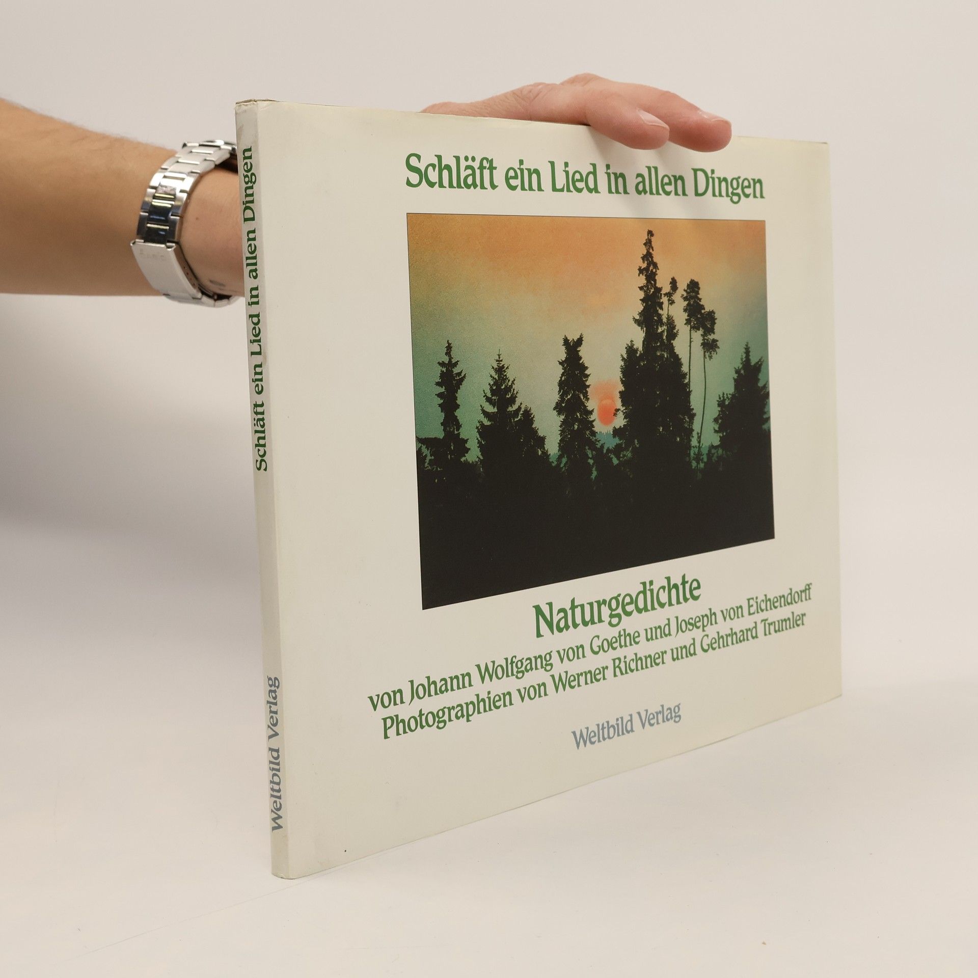 Gerhard Trumler Schläft ein Lied in allen Dingen: Naturgedichte