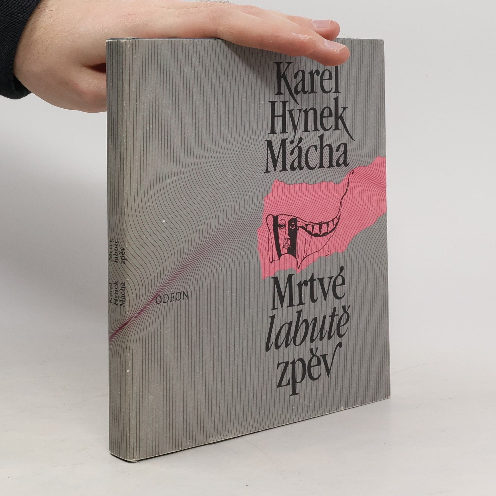 Karel Hynek Mácha Mrtvé labutě zpěv