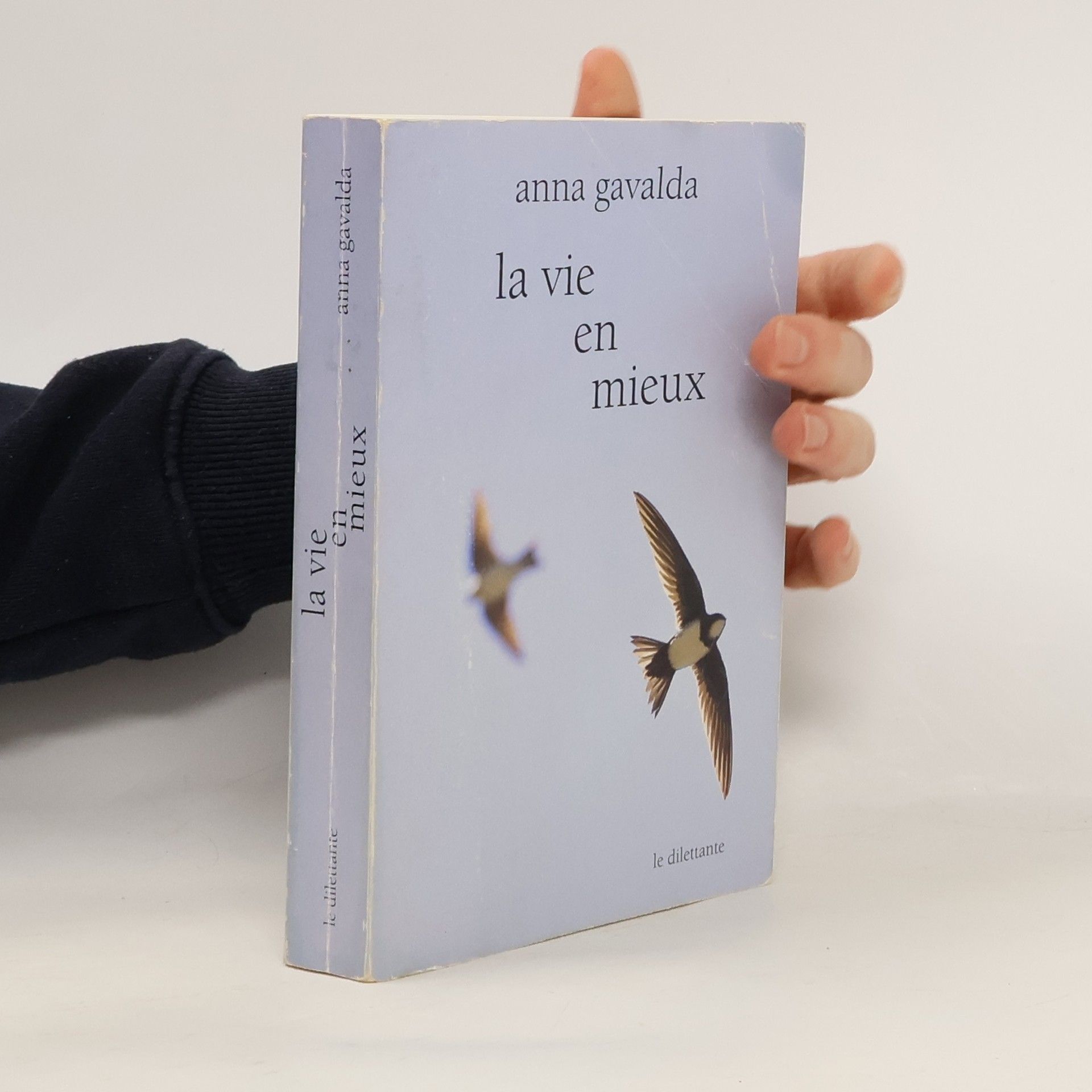 Anna Gavalda La vie en mieux