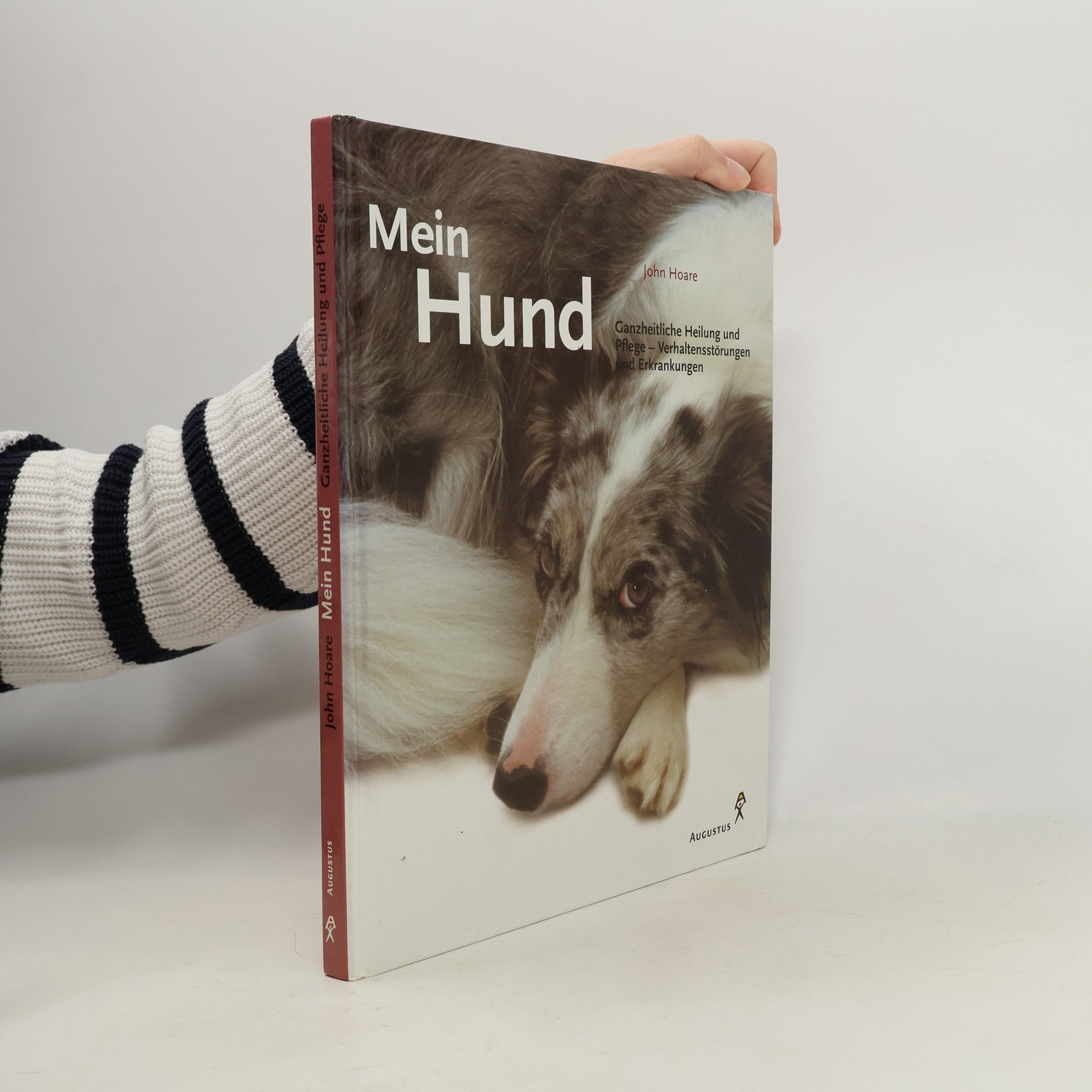 John Hoare Mein Hund