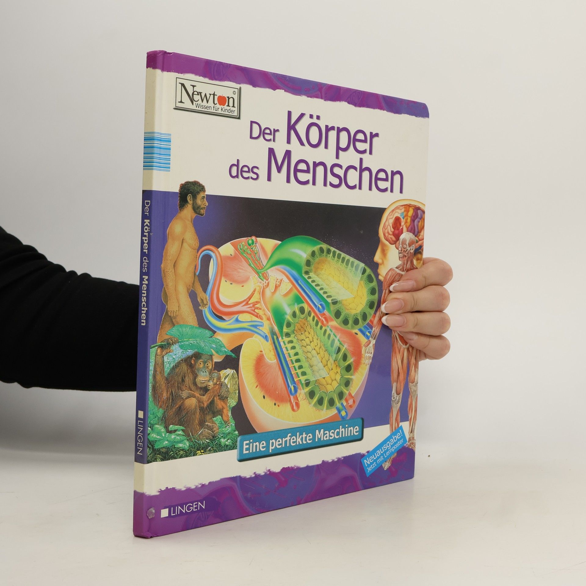 AA.VV. Der Körper des Menschen
