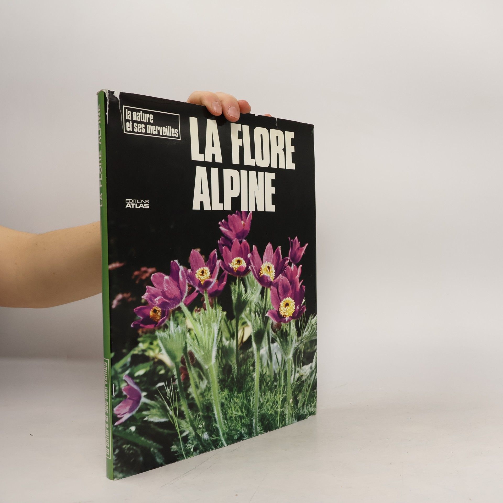 Uberto Tosco La Flore Alpine