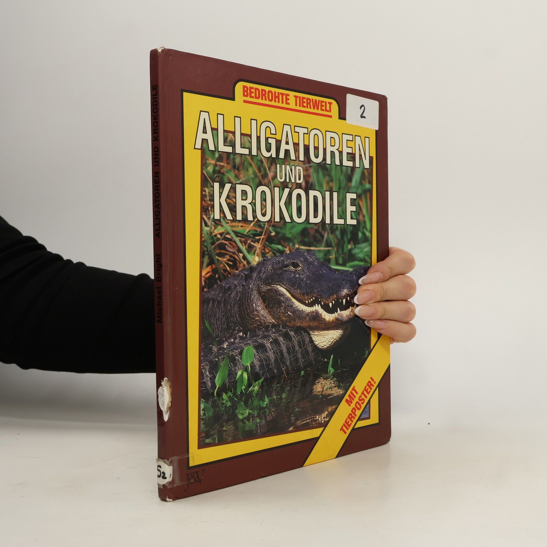 Michael Bright Alligatoren und Krokodile