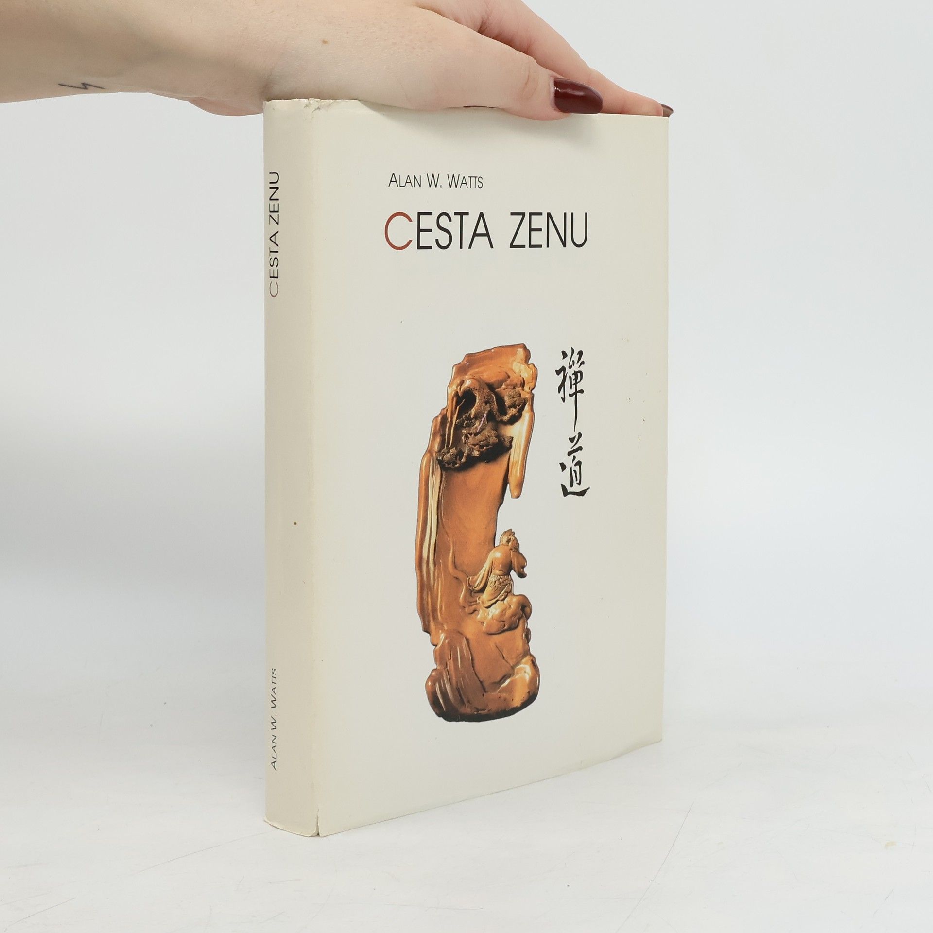 Alan Watts Cesta zenu