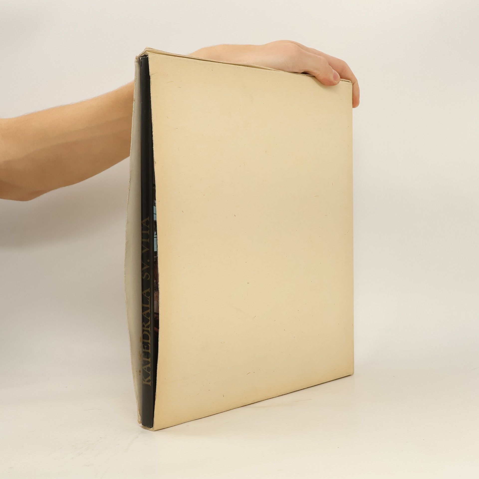 Jiří Burian Katedrála sv. Víta