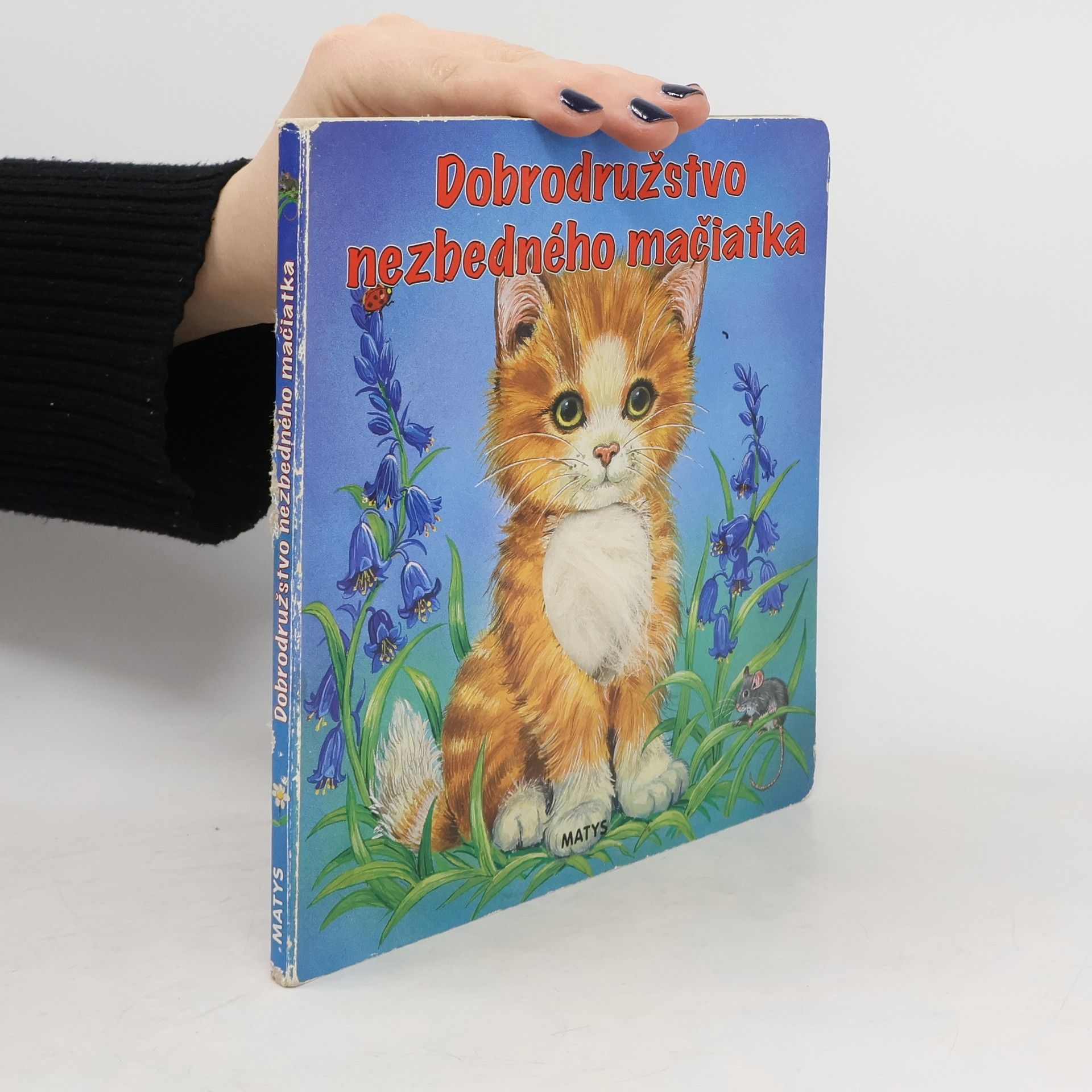 Autorenkollektiv Dobrodružstvo nezbedného mačiatka