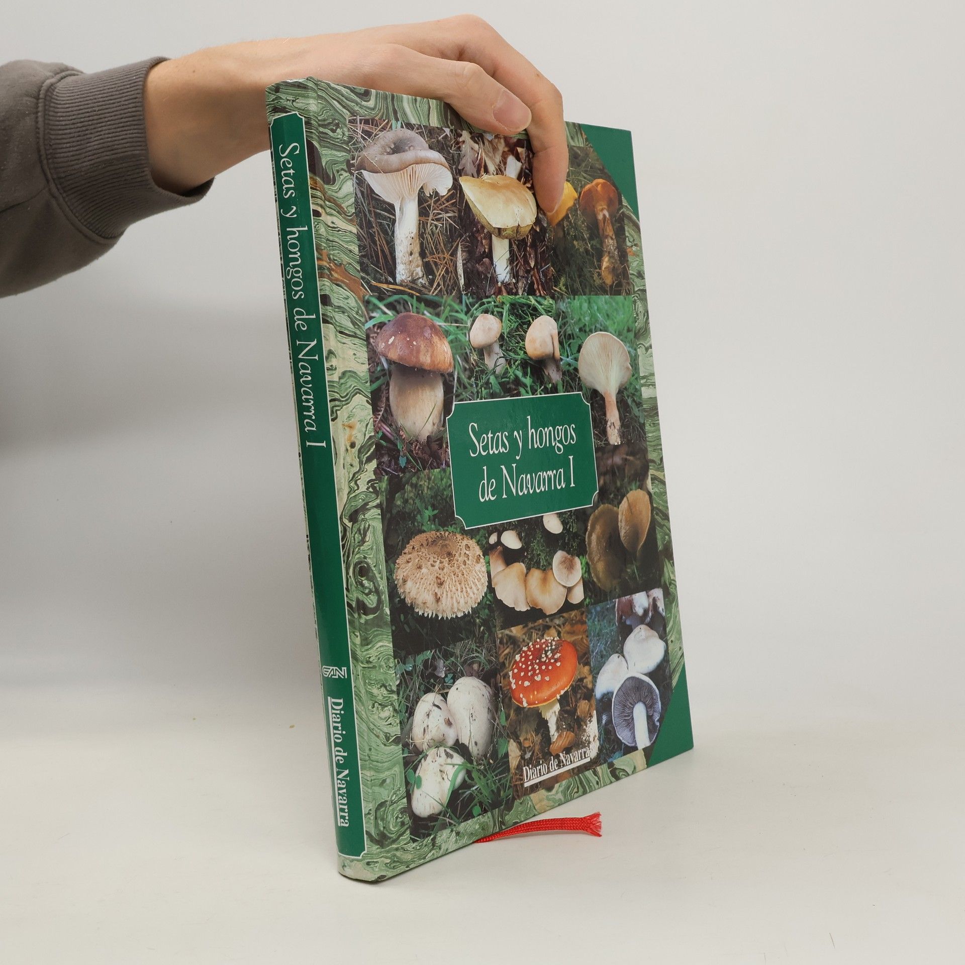 Luis Miguel García Bona Setas y hongos de Navarra