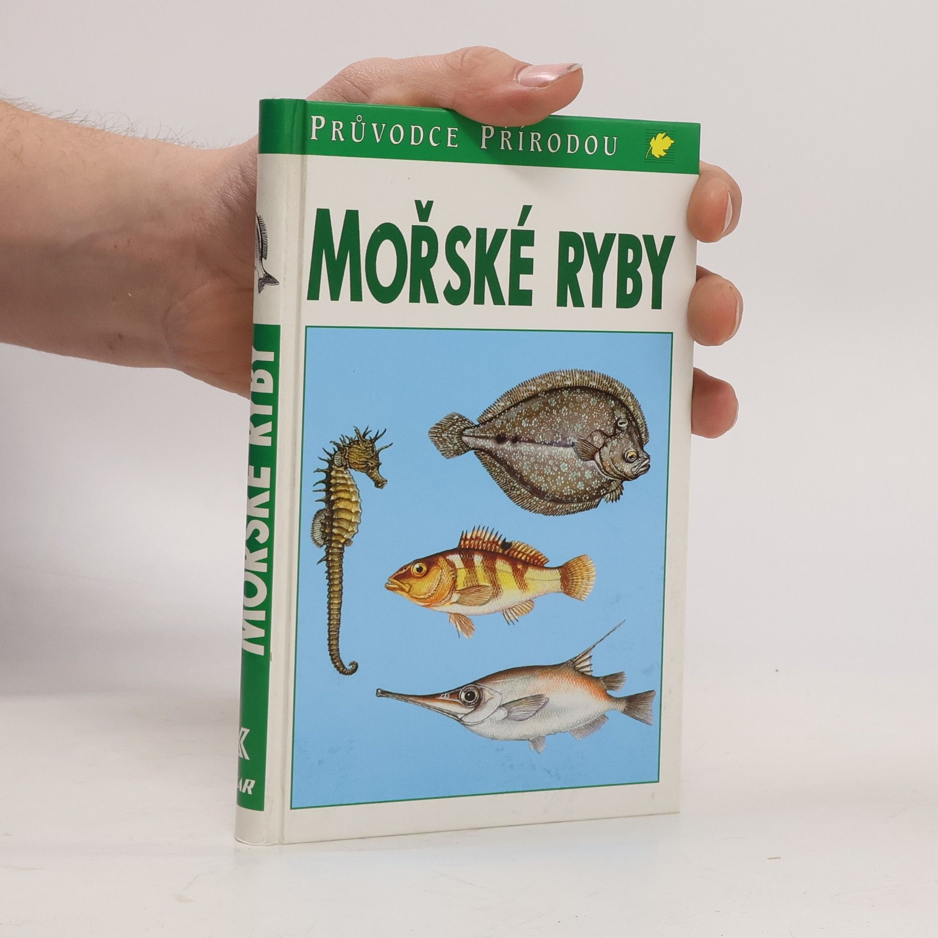 Friedhelm Sauer Mořské ryby v evropských vodách