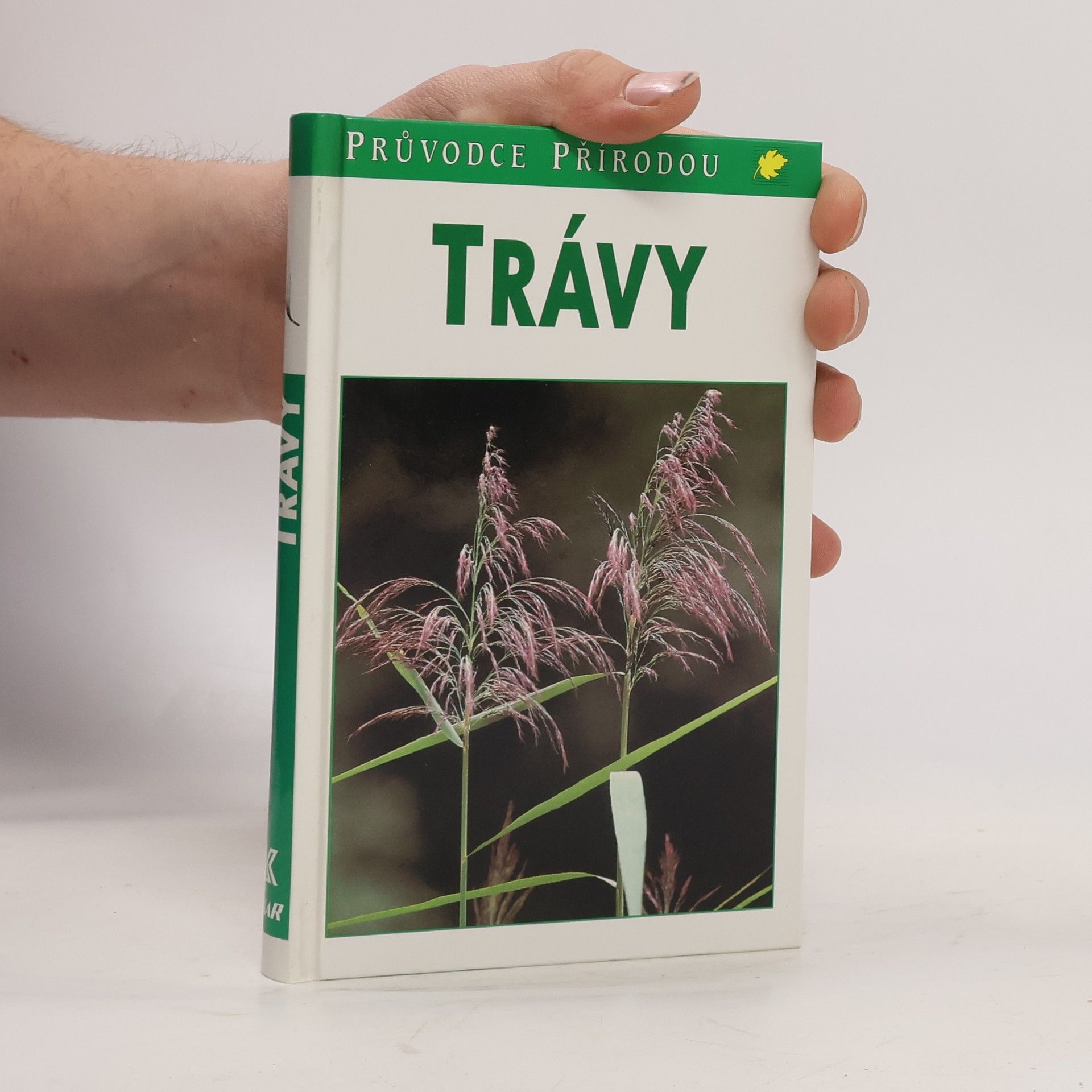 Trávy : lipnicovité, šáchorovité, sítinovité a rostliny podobné travám Evropy