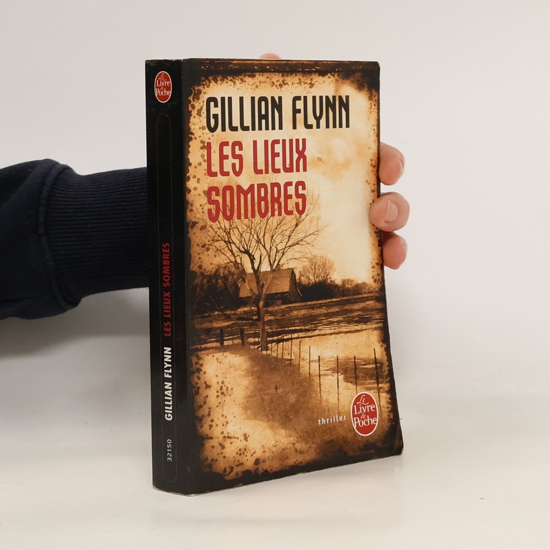 Gillian Flynn Les lieux sombres