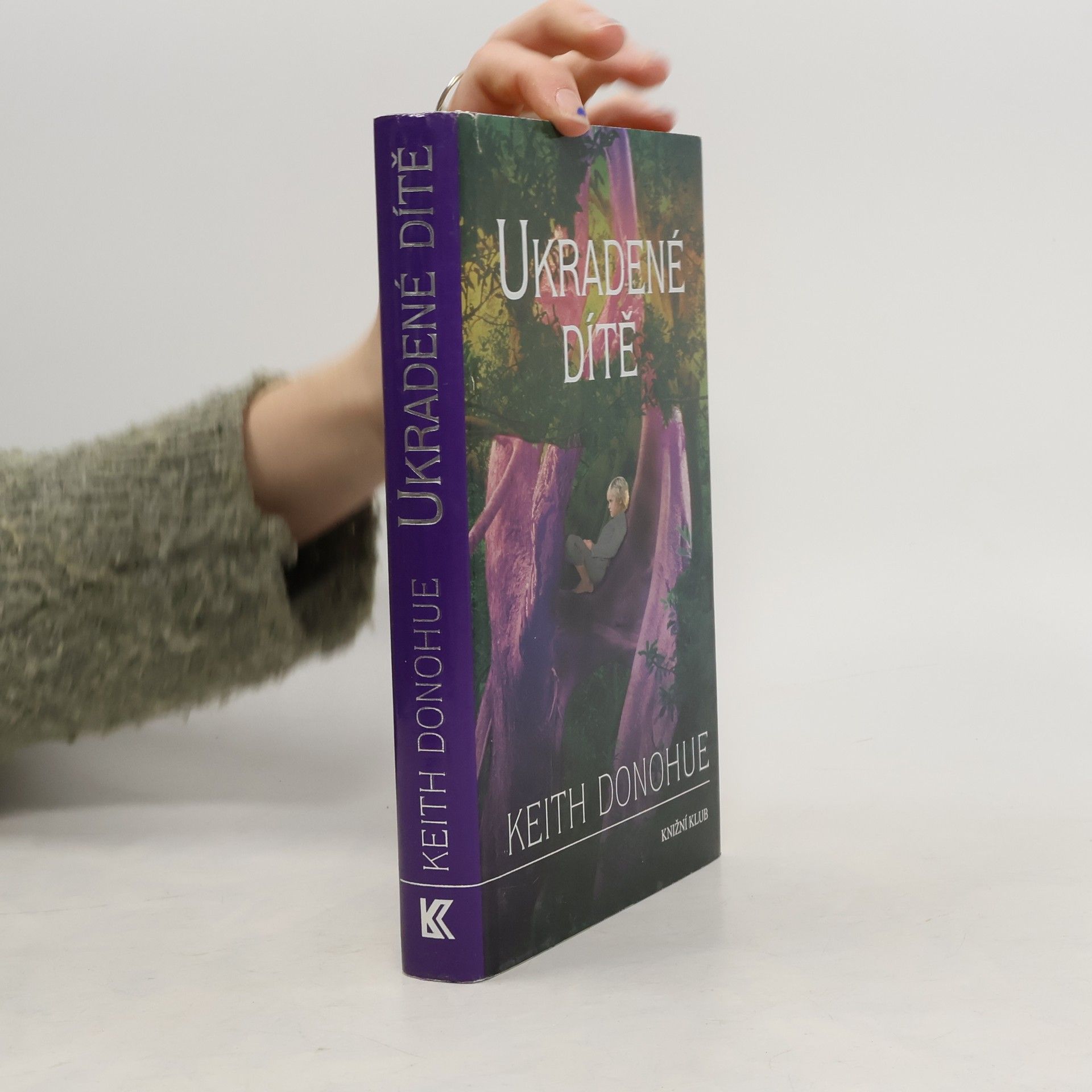 Keith Donohue Ukradené dítě