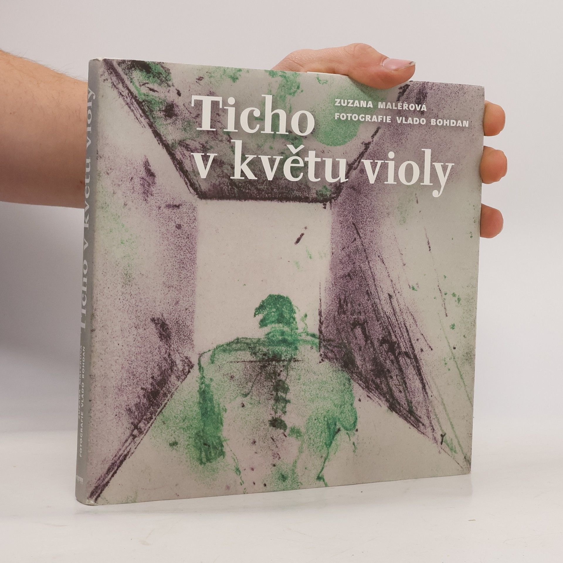 Ticho v květu violy