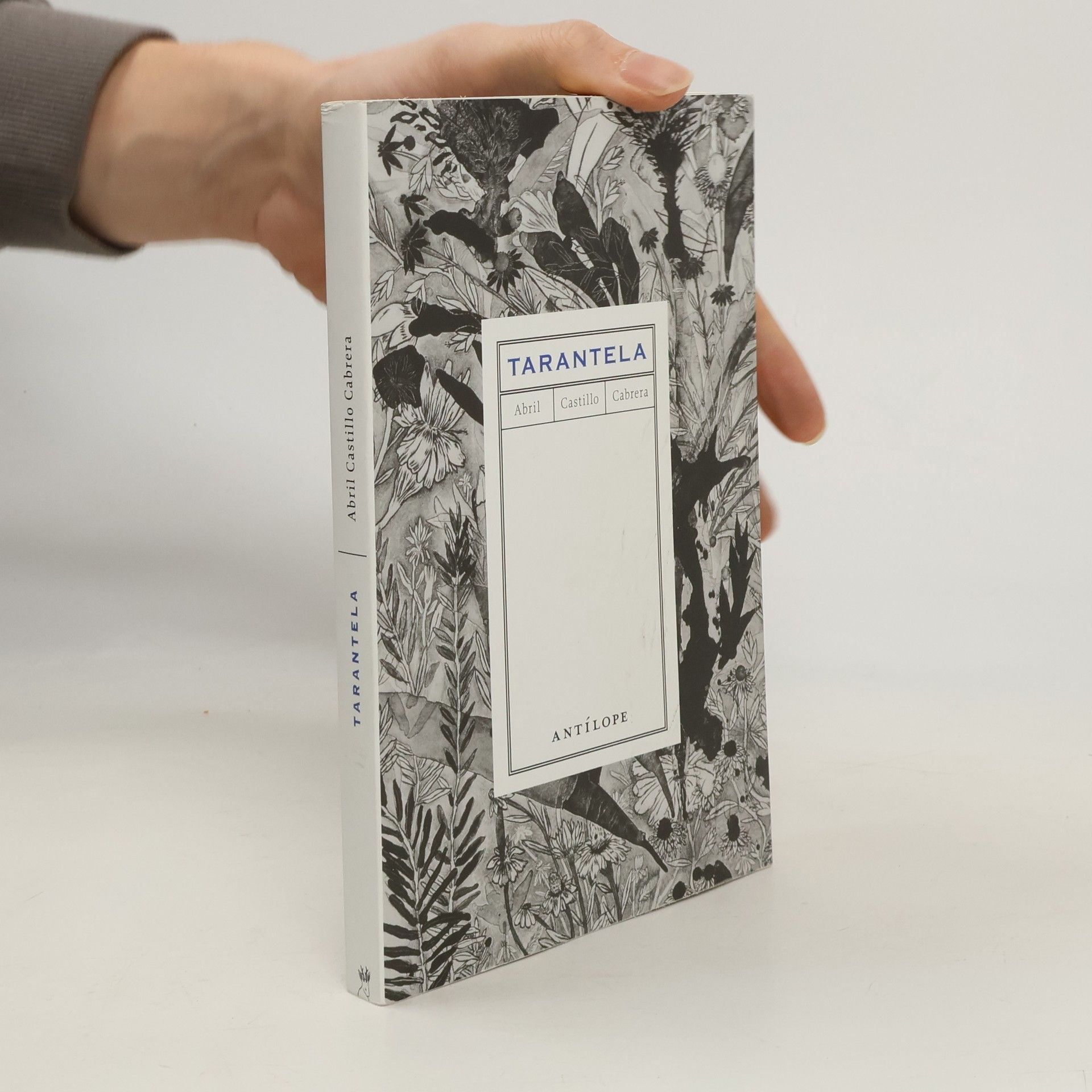 Abril Castillo Tarantela