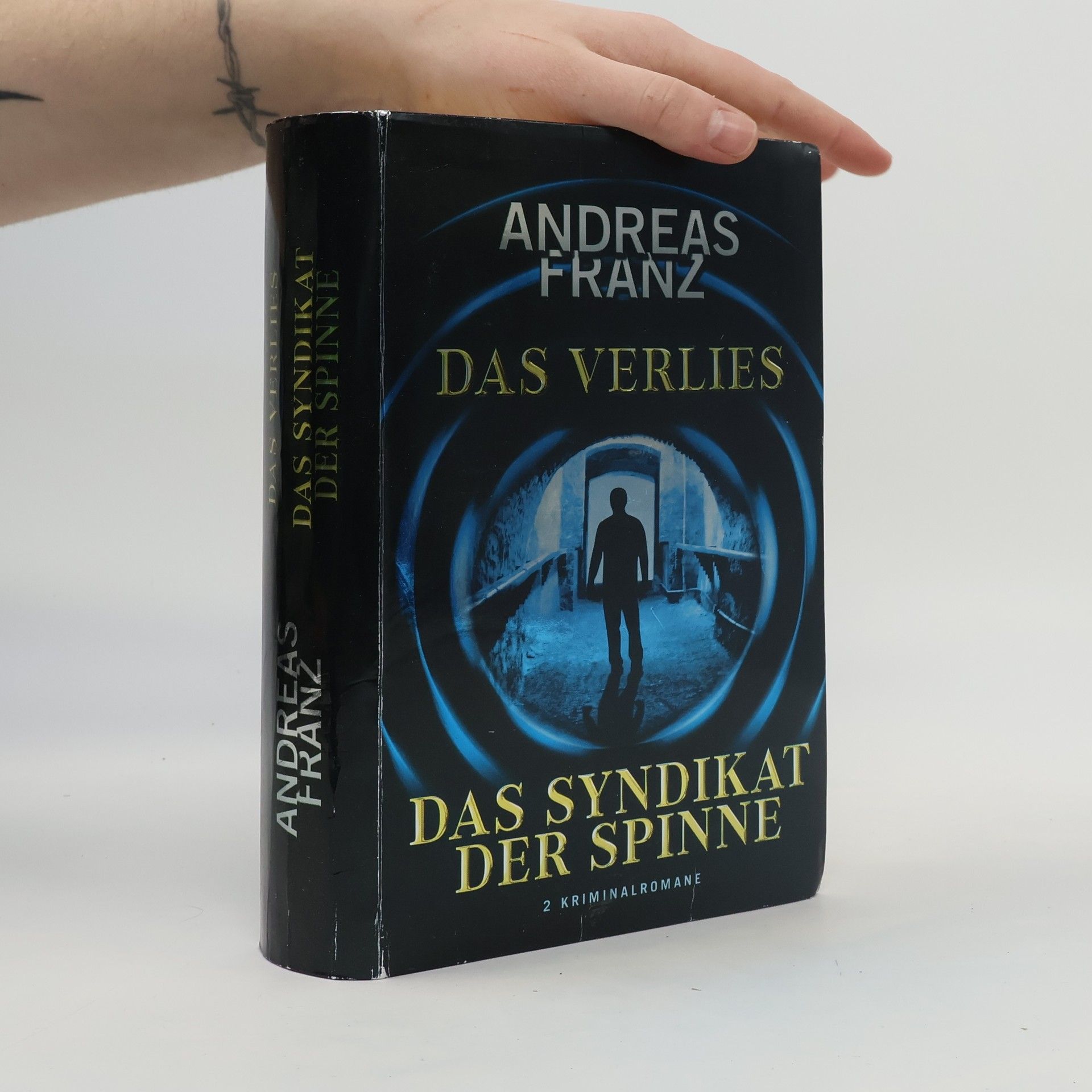 Andreas Franz Das Verlies. Das Syndikat der Spinne