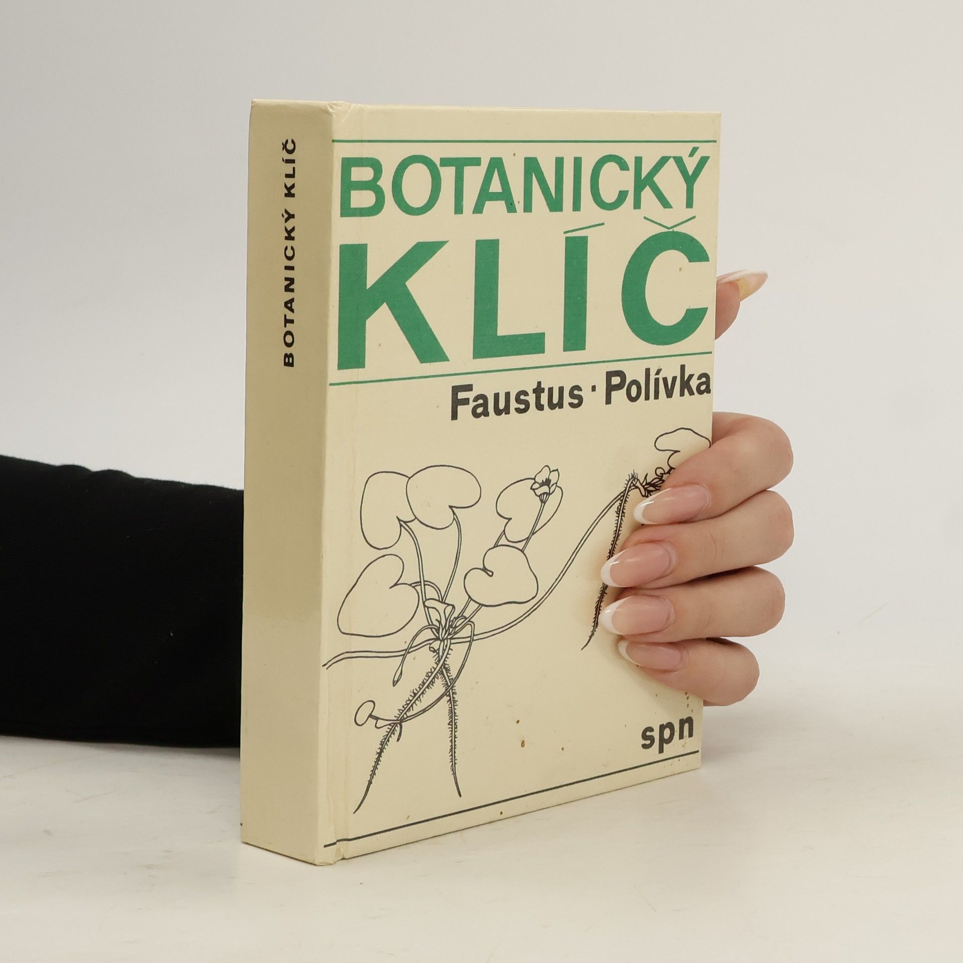 Botanický klíč