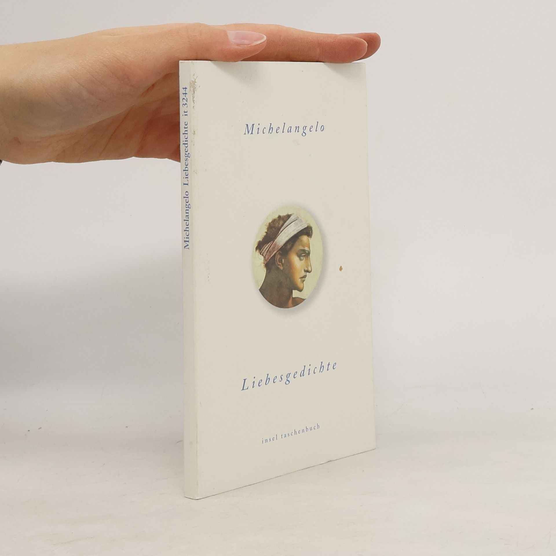 Michelangelo Liebesgedichte