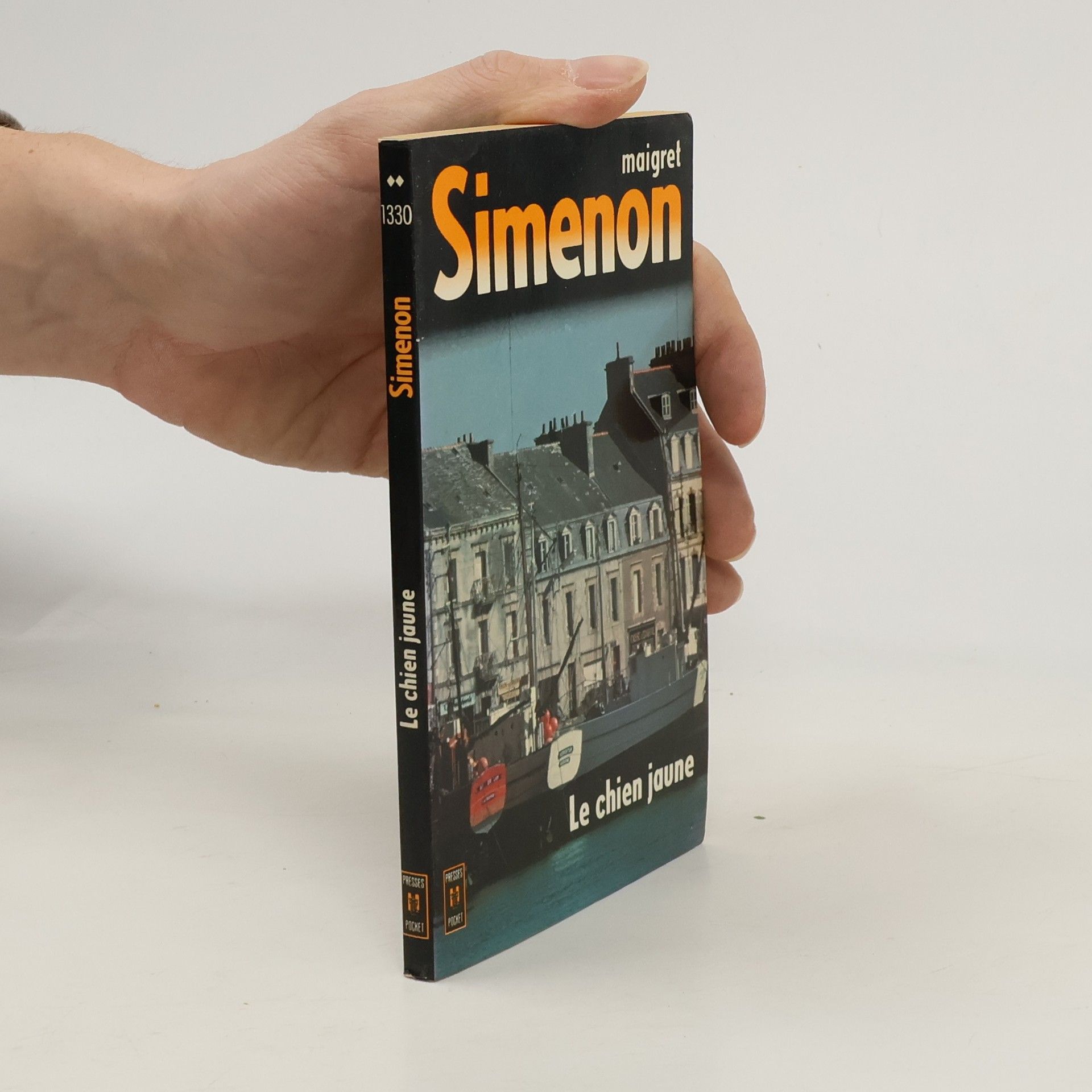Georges Simenon Le chien jaune
