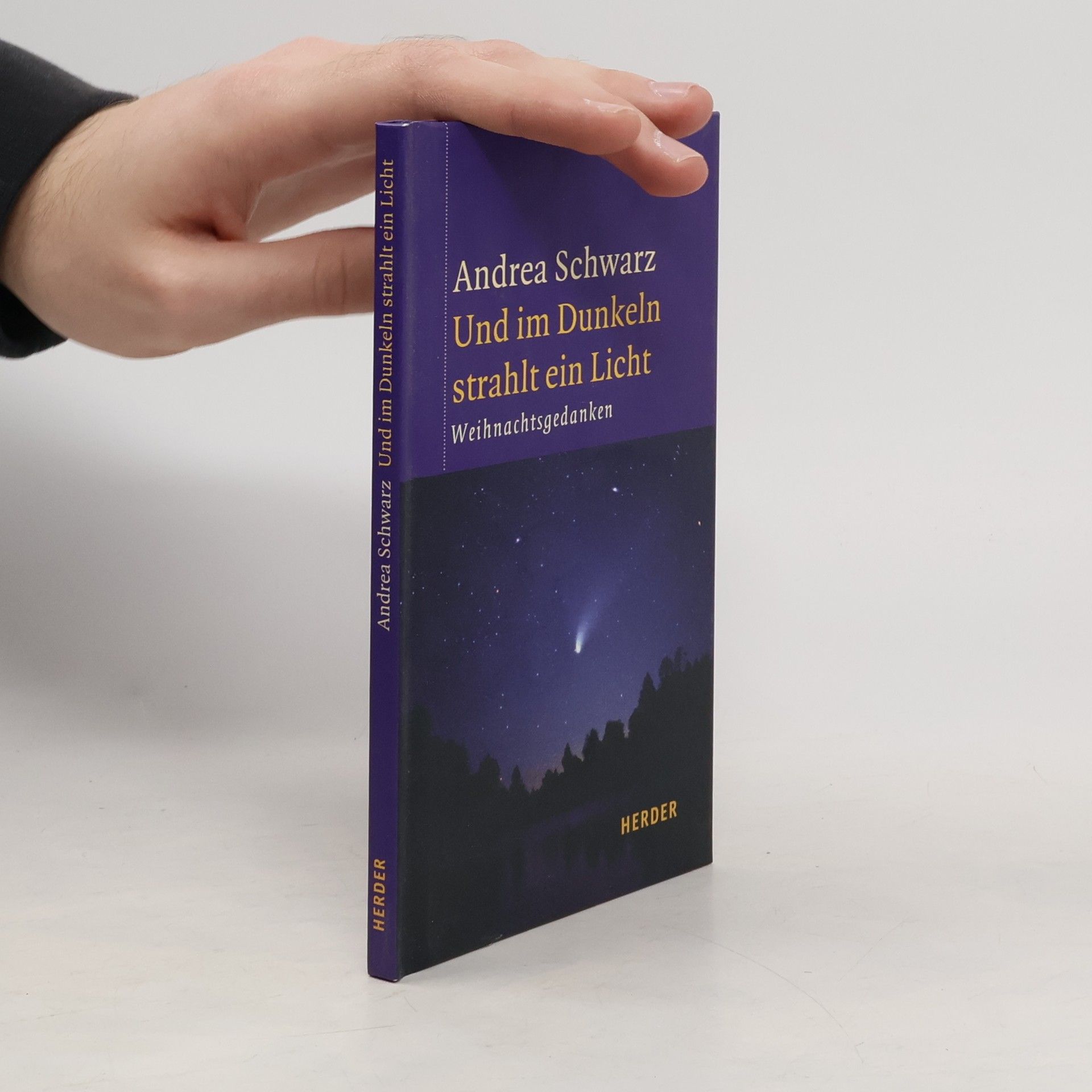 Andrea Schwarz Und im Dunkeln strahlt ein Licht