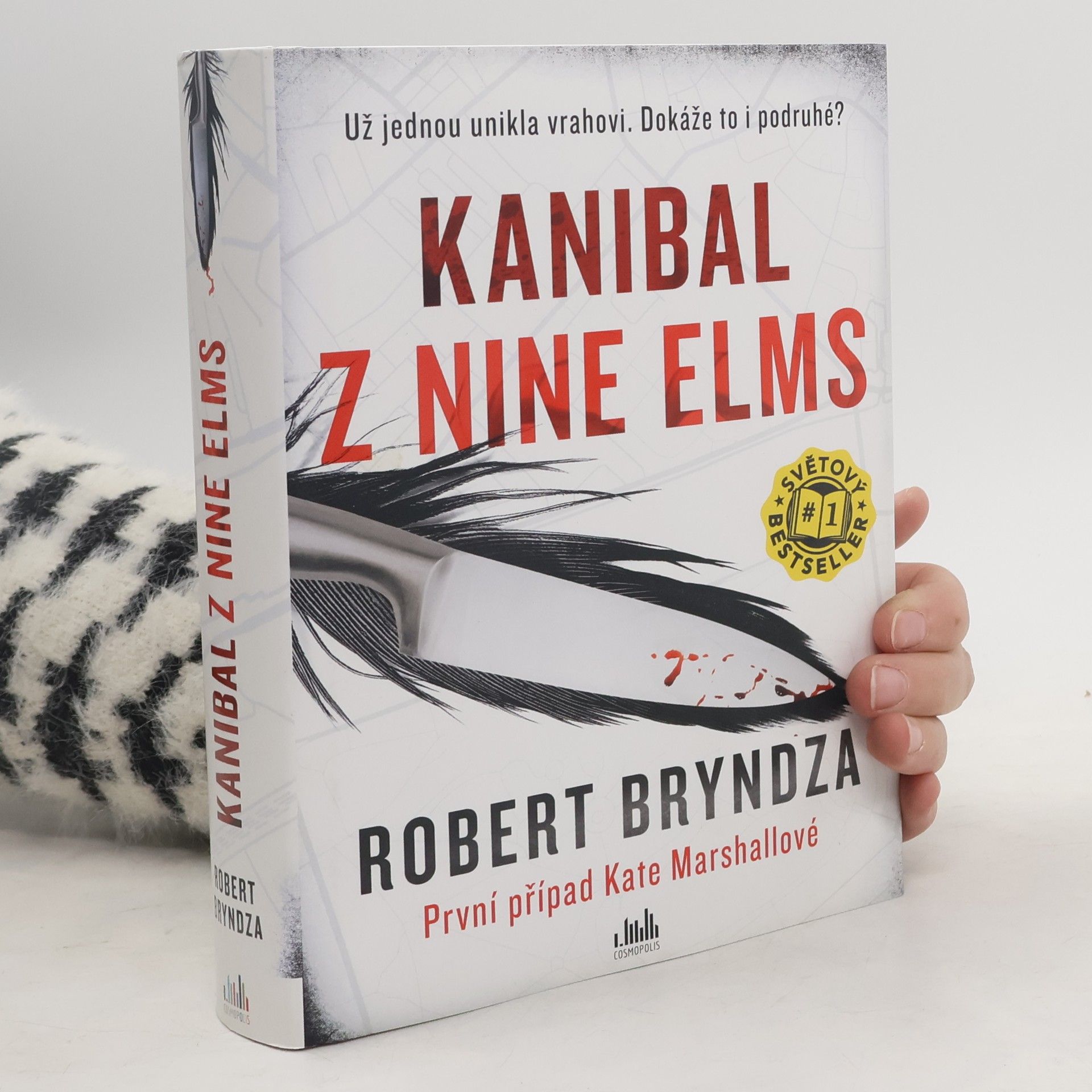 Robert Bryndza Kanibal z Nine Elms
