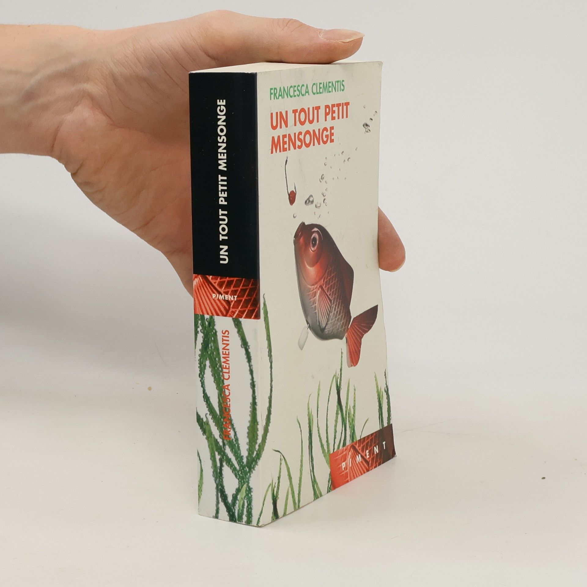 Francesca Clementis Un tout petit mensonge