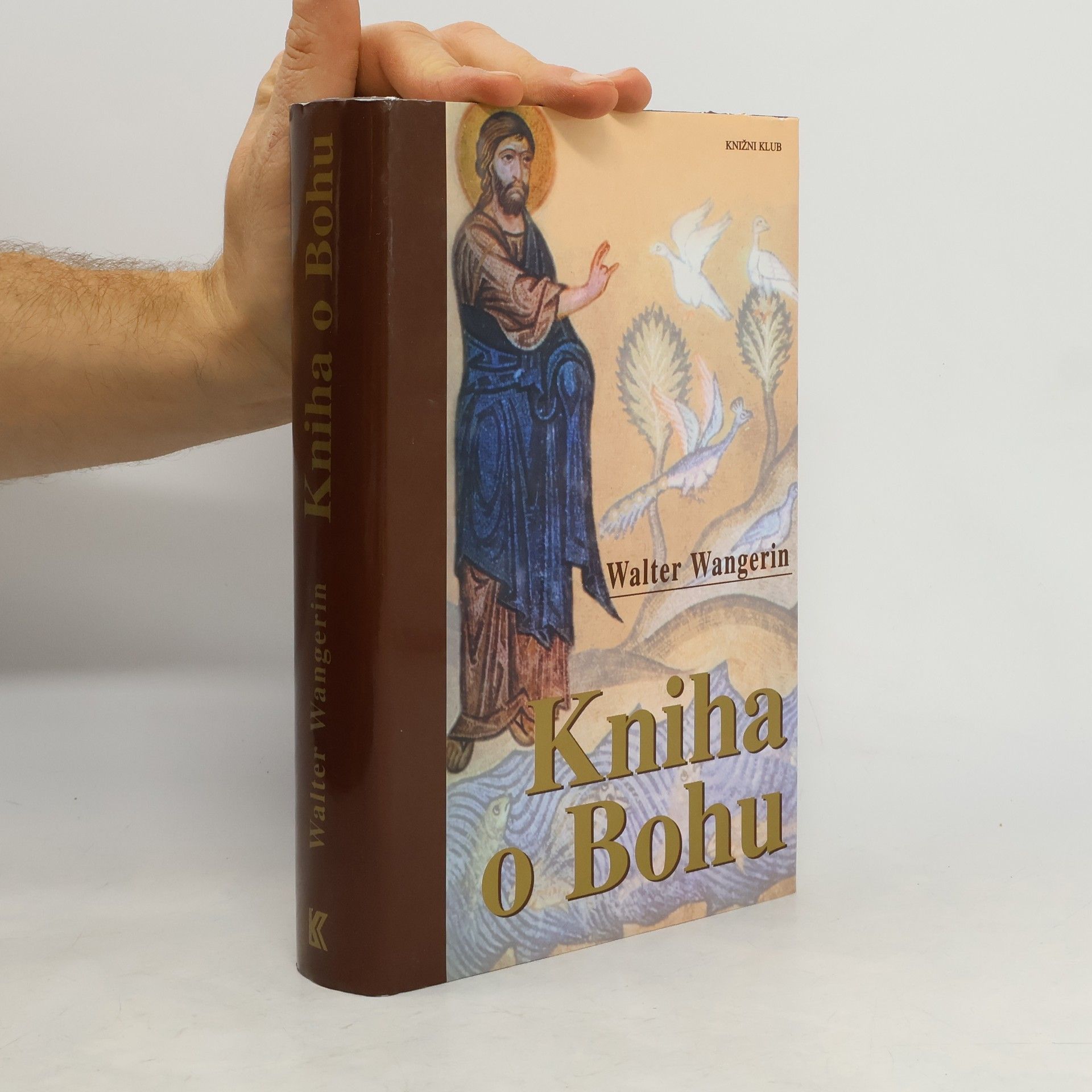 Walter Wangerin, Jr. Kniha o Bohu