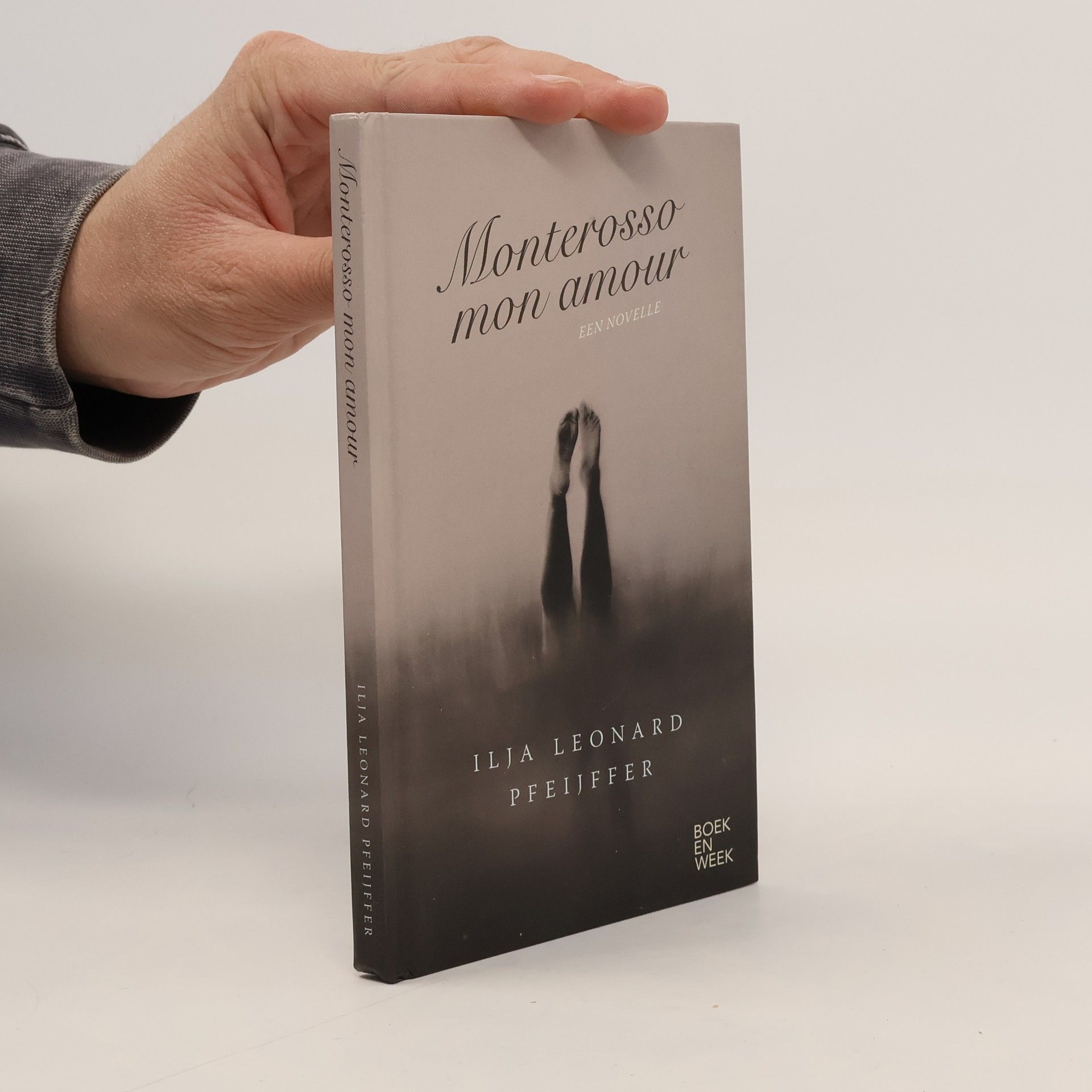 Ilja Leonard Pfeijffer Monterosso mon amour