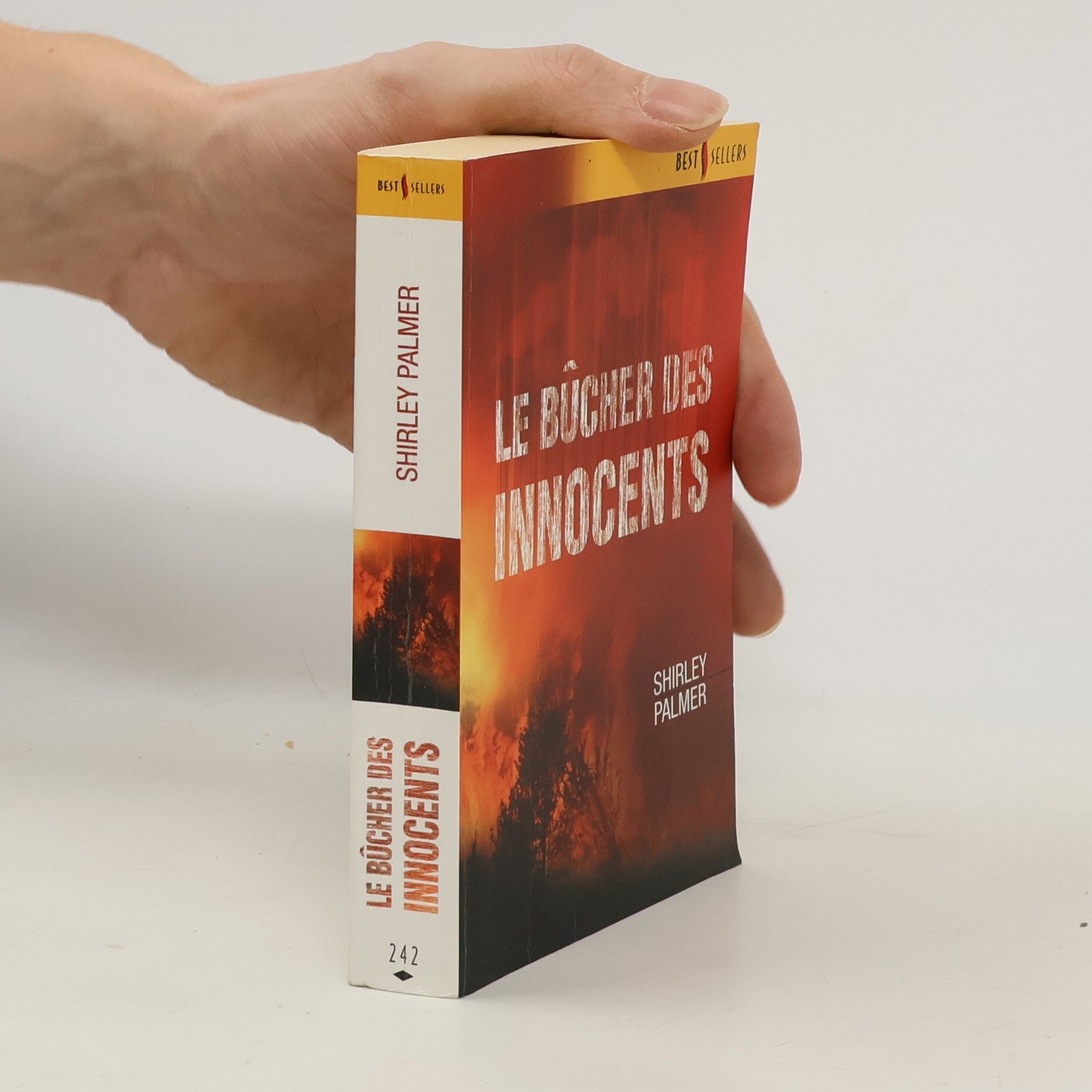 Shirley Palmer Le bûcher des innocents