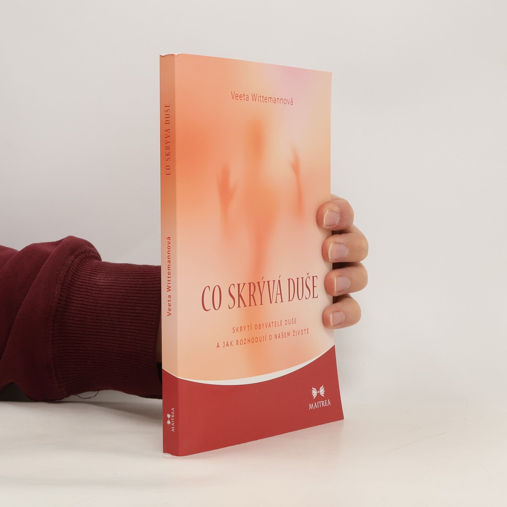 Co skrývá duše : skrytí obyvatelé duše a jak rozhodují o našem životě