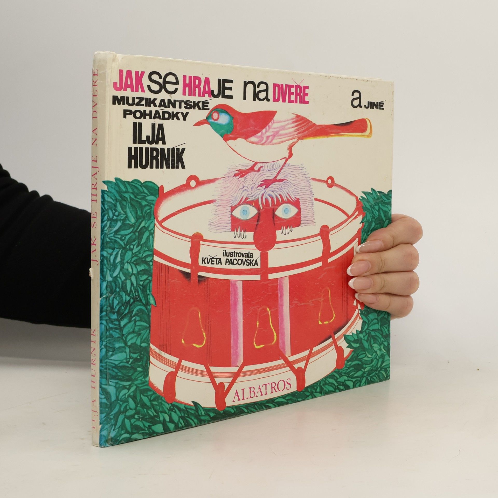 Jak se hraje na dveře a jiné muzikantské pohádky