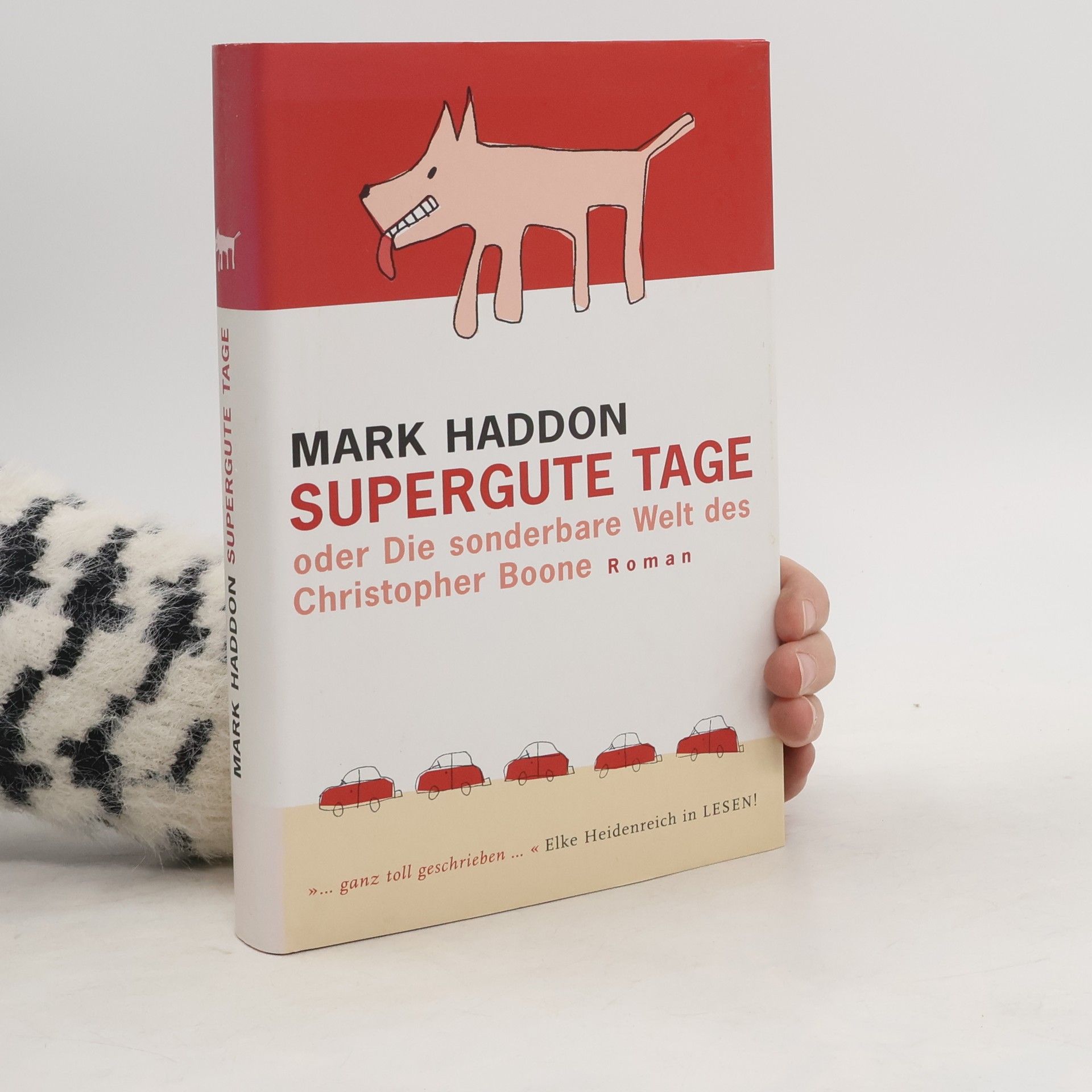 Supergute Tage oder Die sondere Welt des Christopher Boone