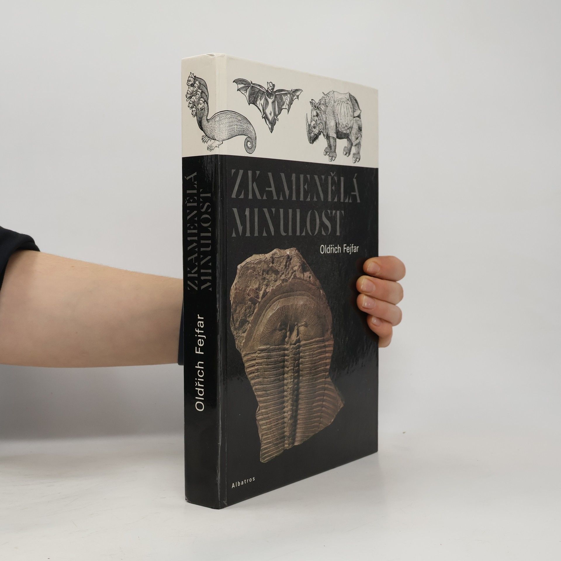 Pavel Štecha Zkamenělá minulost