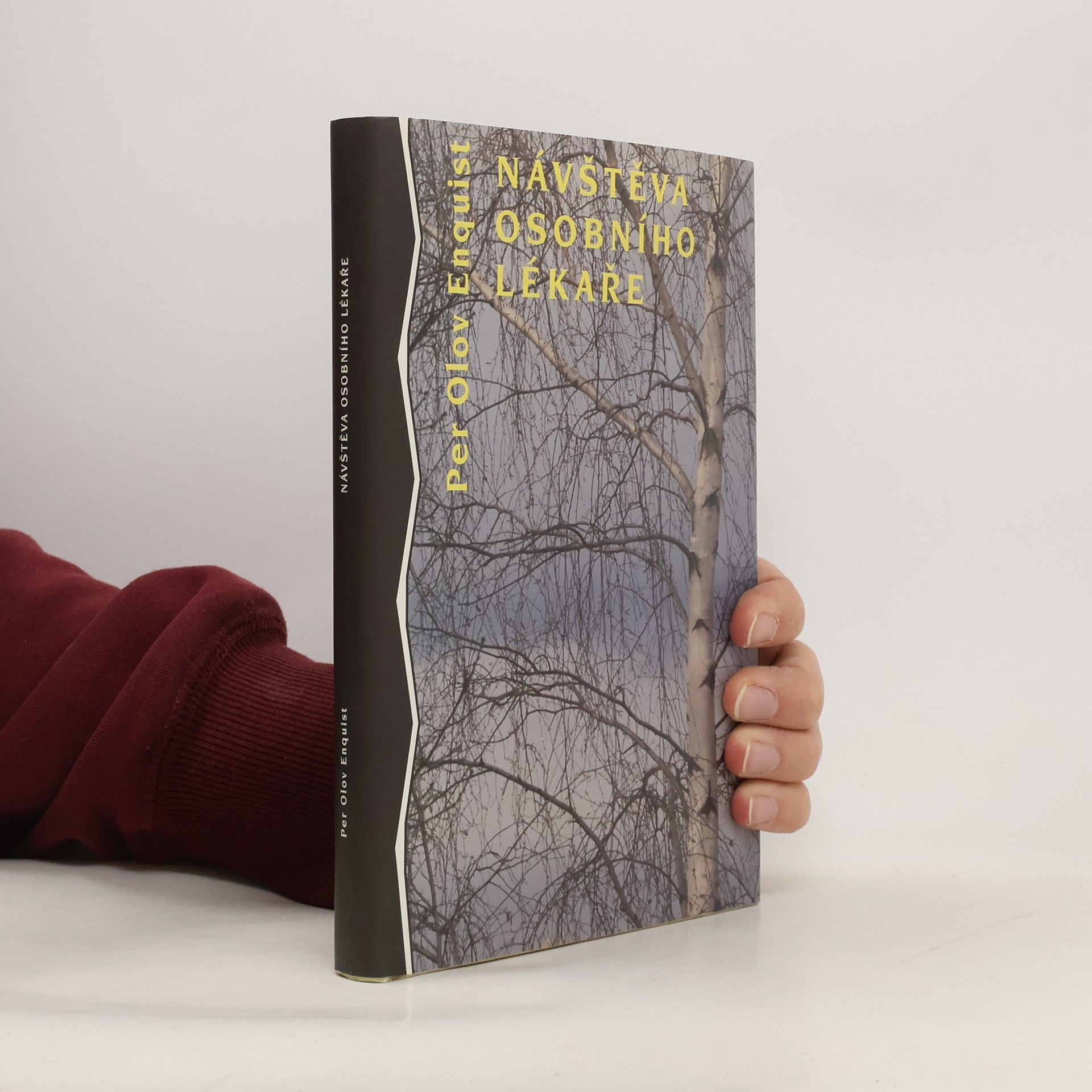 Zbyněk Černík Návštěva osobního lékaře