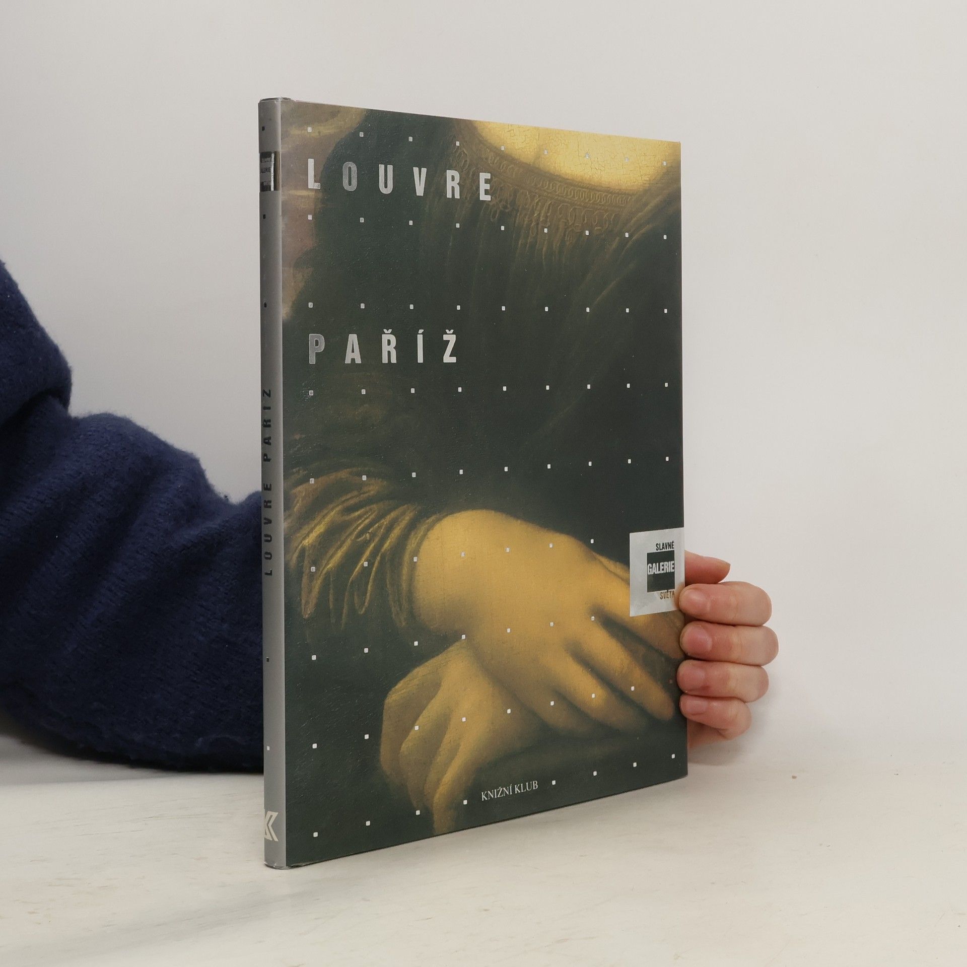 Alessandra Fregolent Slavné galerie světa. Louvre - Paříž